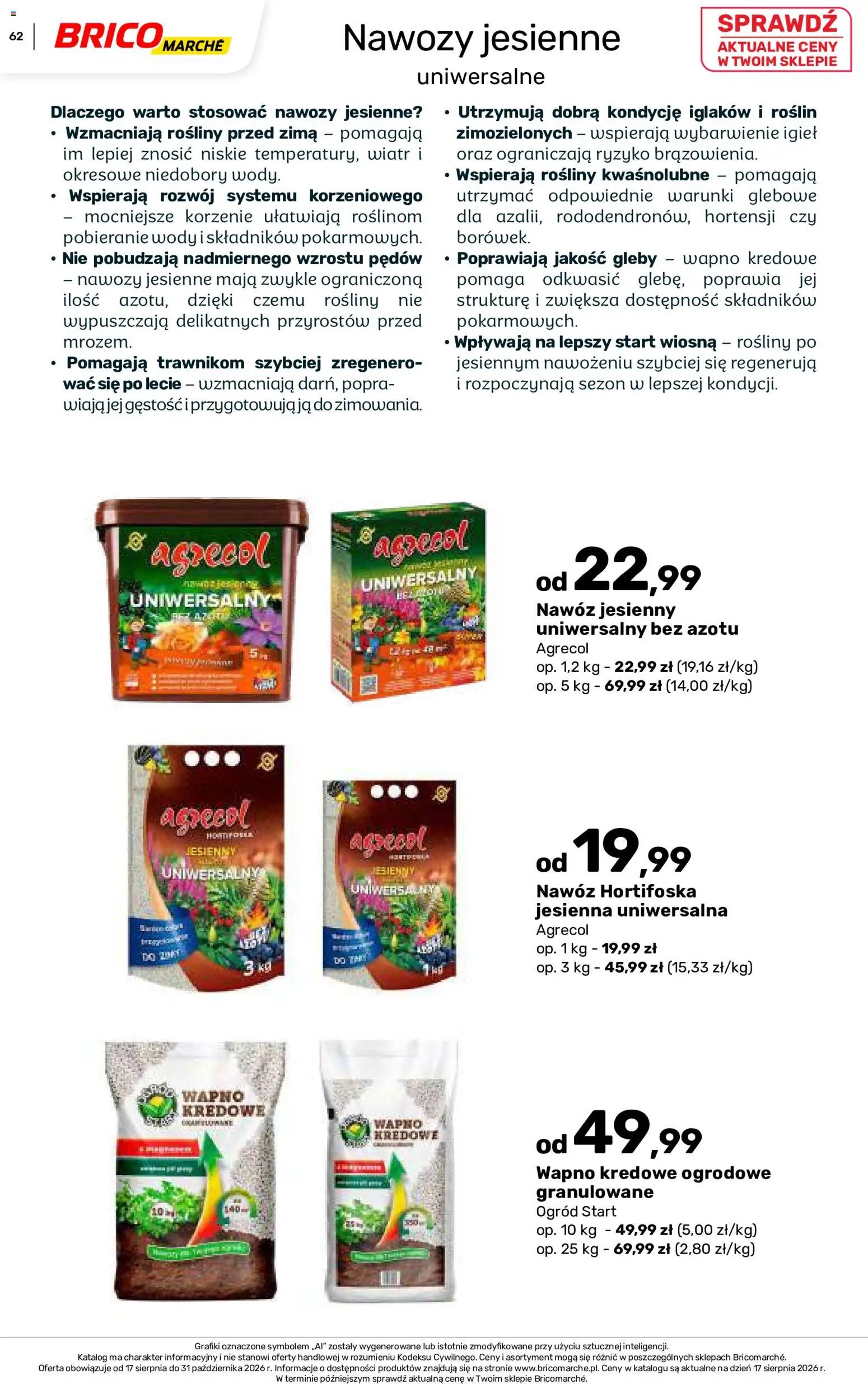 Brico Marché gazetka - Jesienne Inspiracje