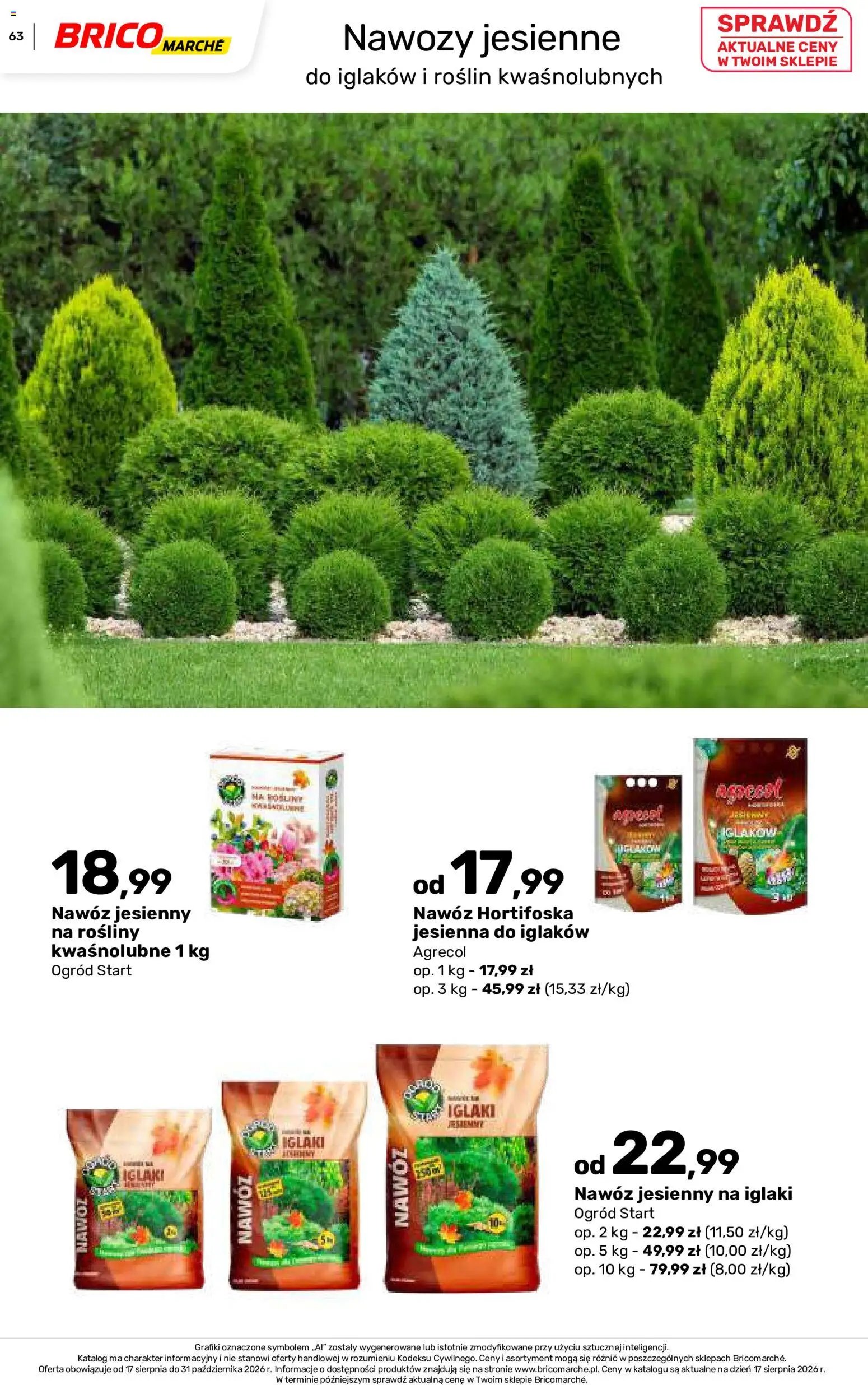 Brico Marché gazetka - Jesienne Inspiracje
