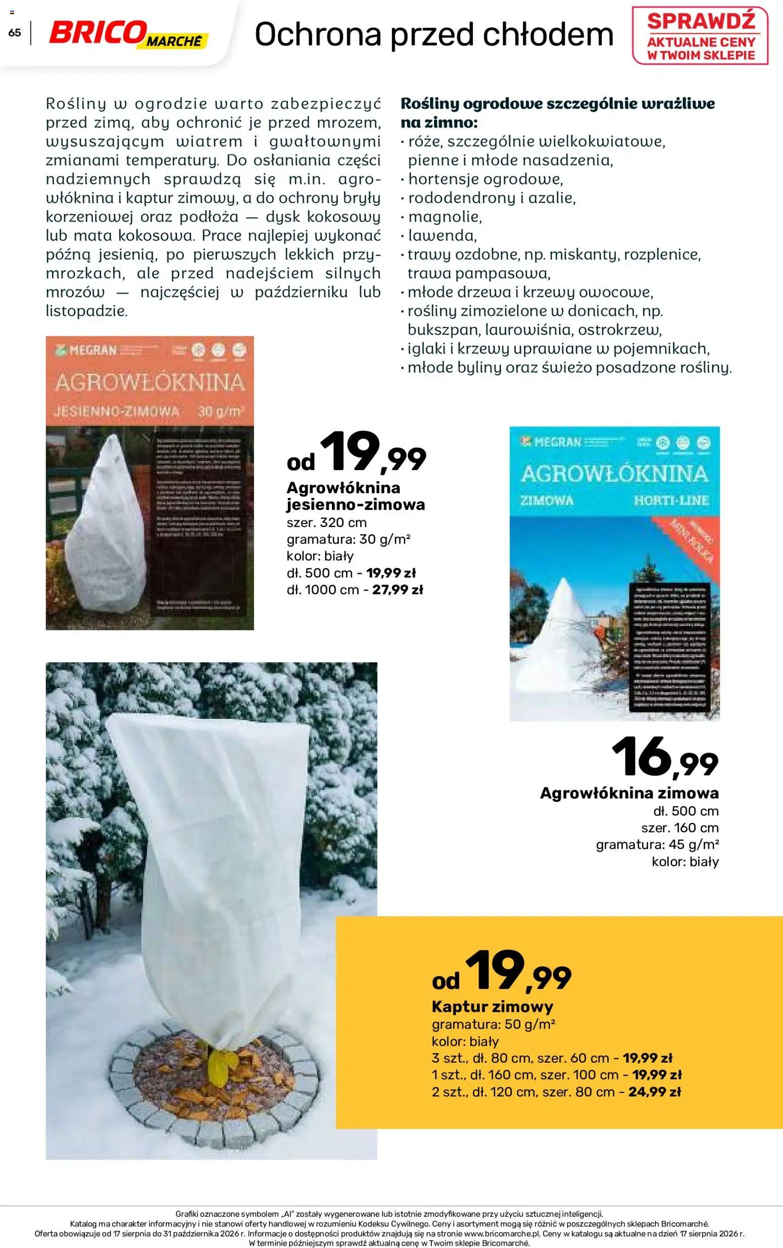 Brico Marché gazetka - Jesienne Inspiracje