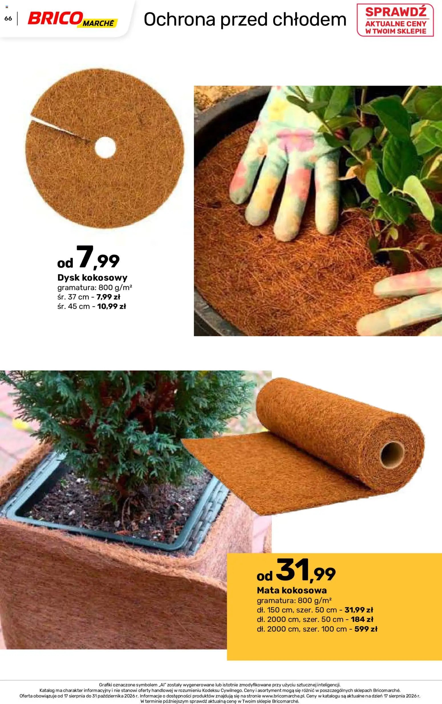 Brico Marché gazetka - Jesienne Inspiracje