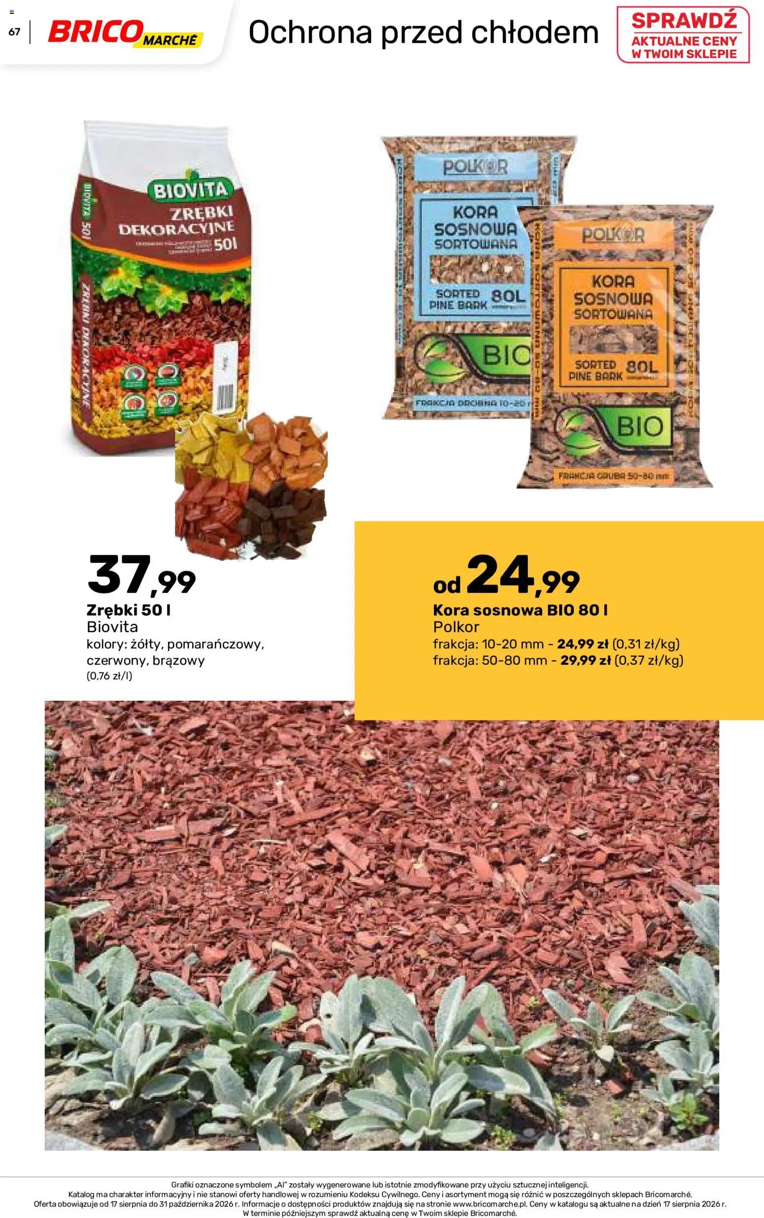 Brico Marché gazetka - Jesienne Inspiracje