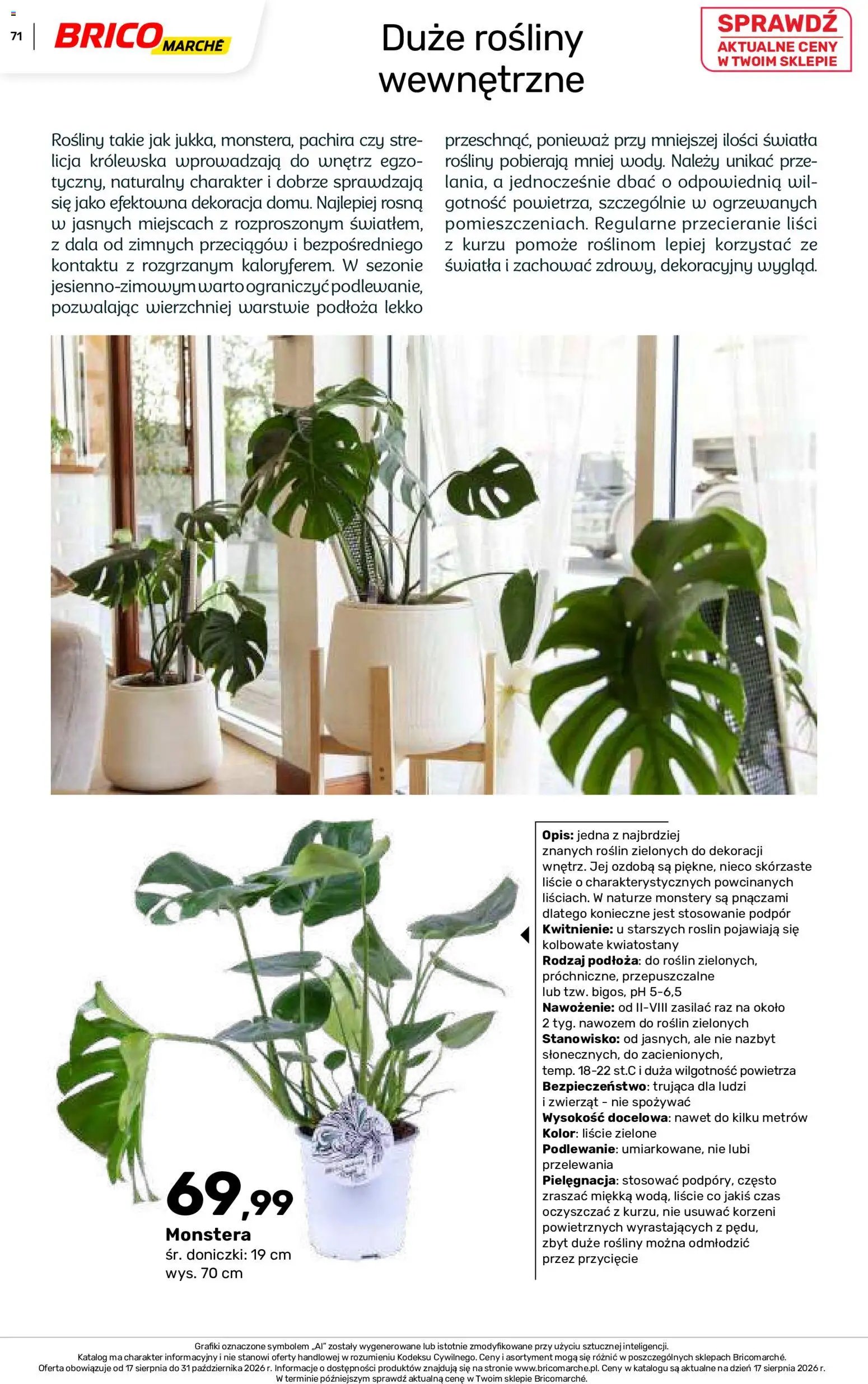 Brico Marché gazetka - Jesienne Inspiracje