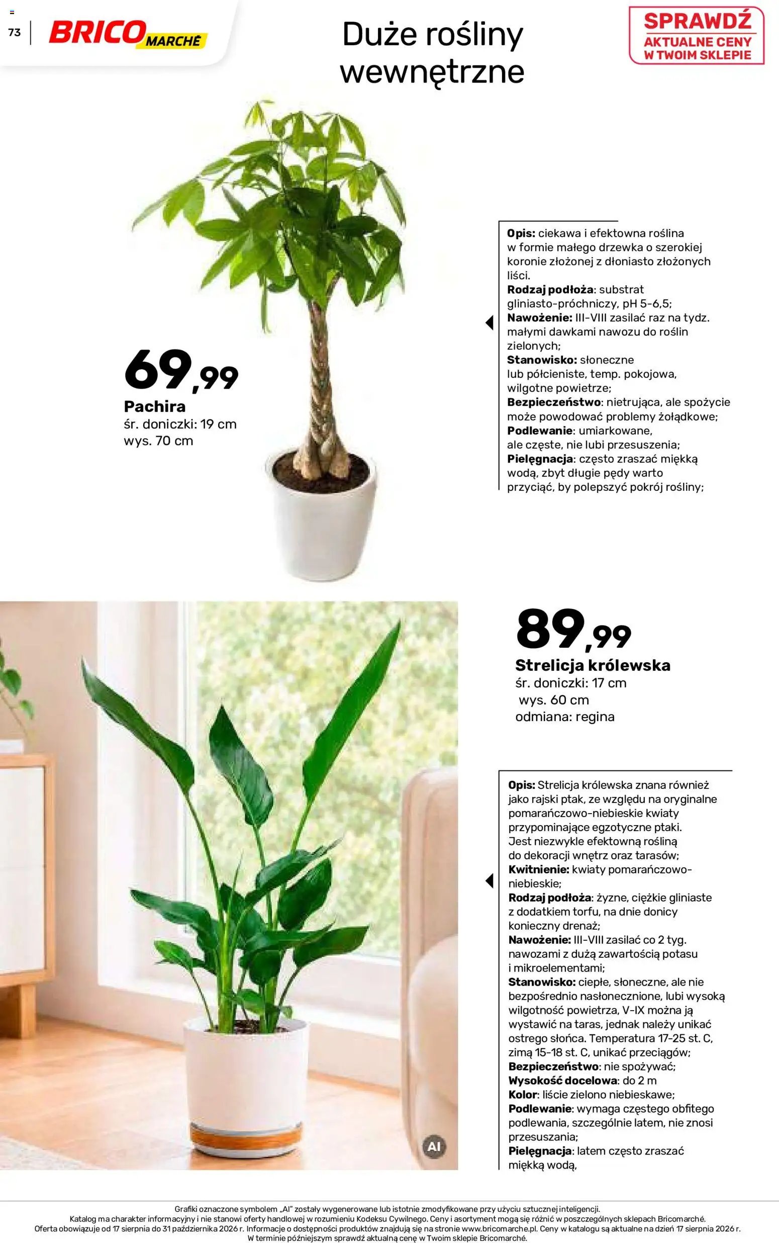 Brico Marché gazetka - Jesienne Inspiracje