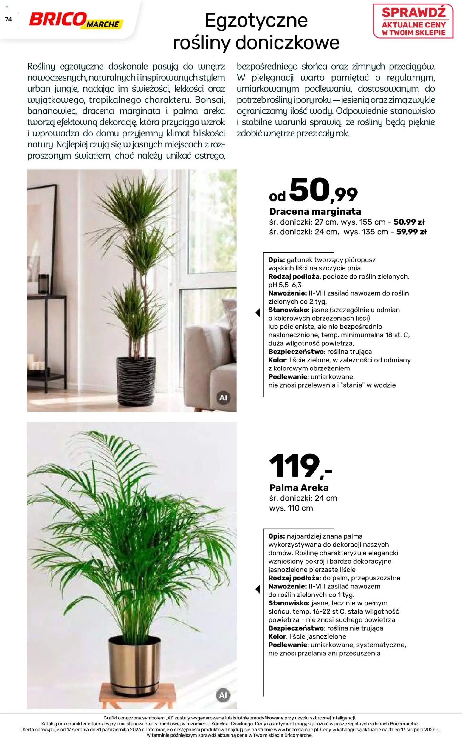 Brico Marché gazetka - Jesienne Inspiracje