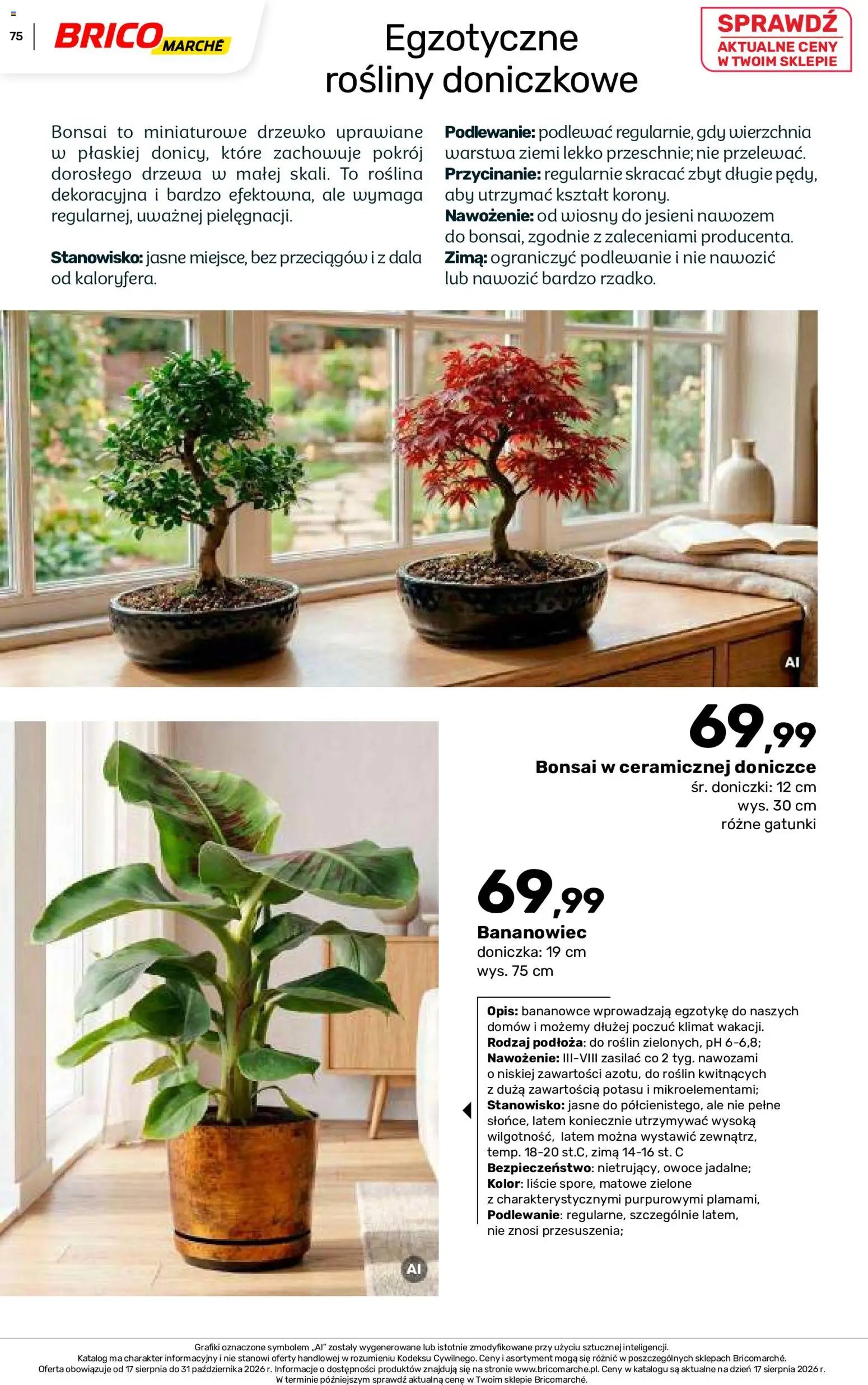 Brico Marché gazetka - Jesienne Inspiracje