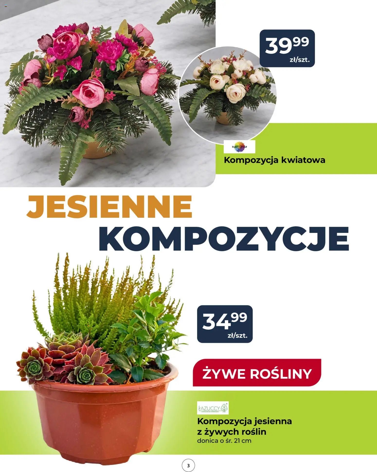 Mrówka gazetka