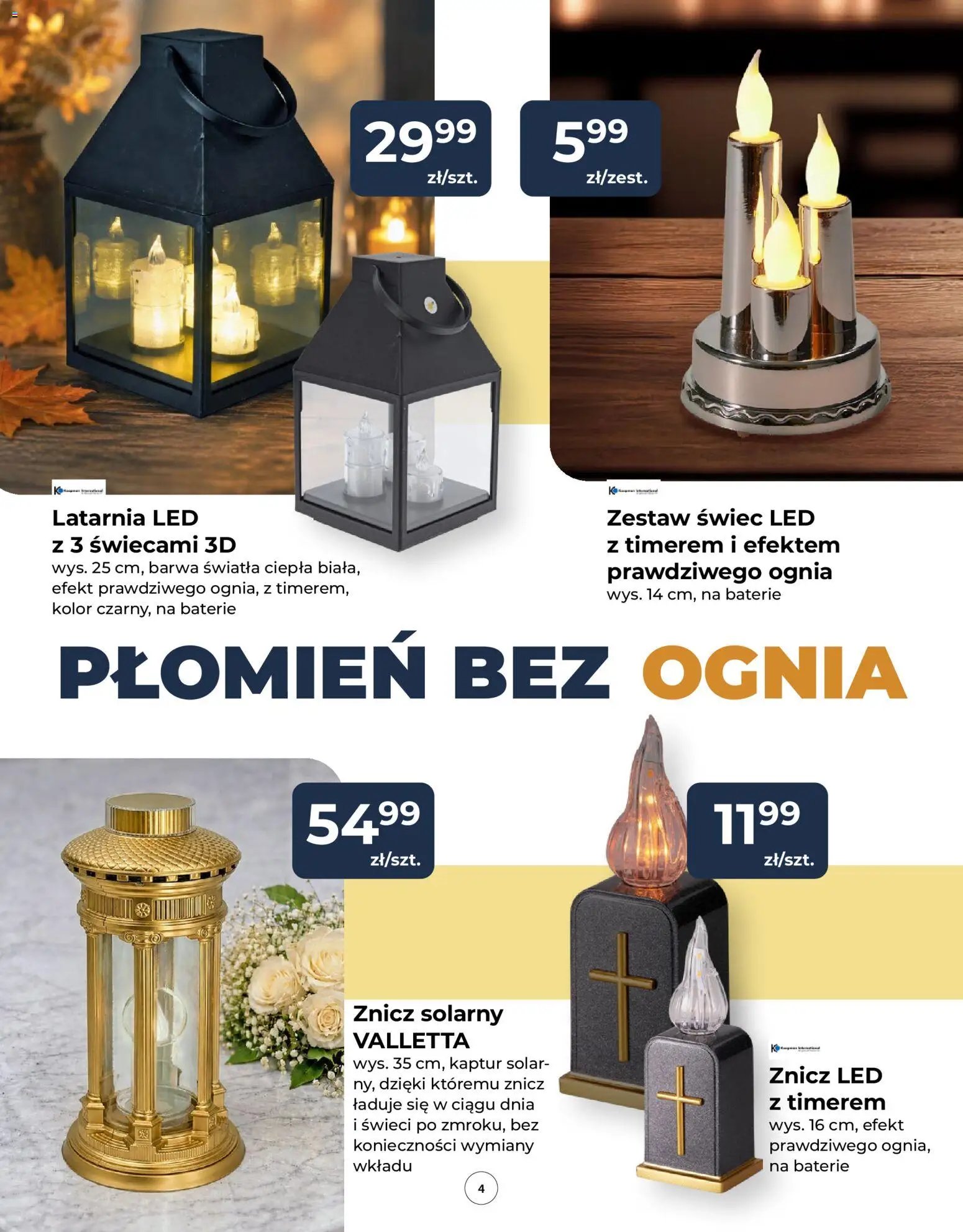 Mrówka gazetka