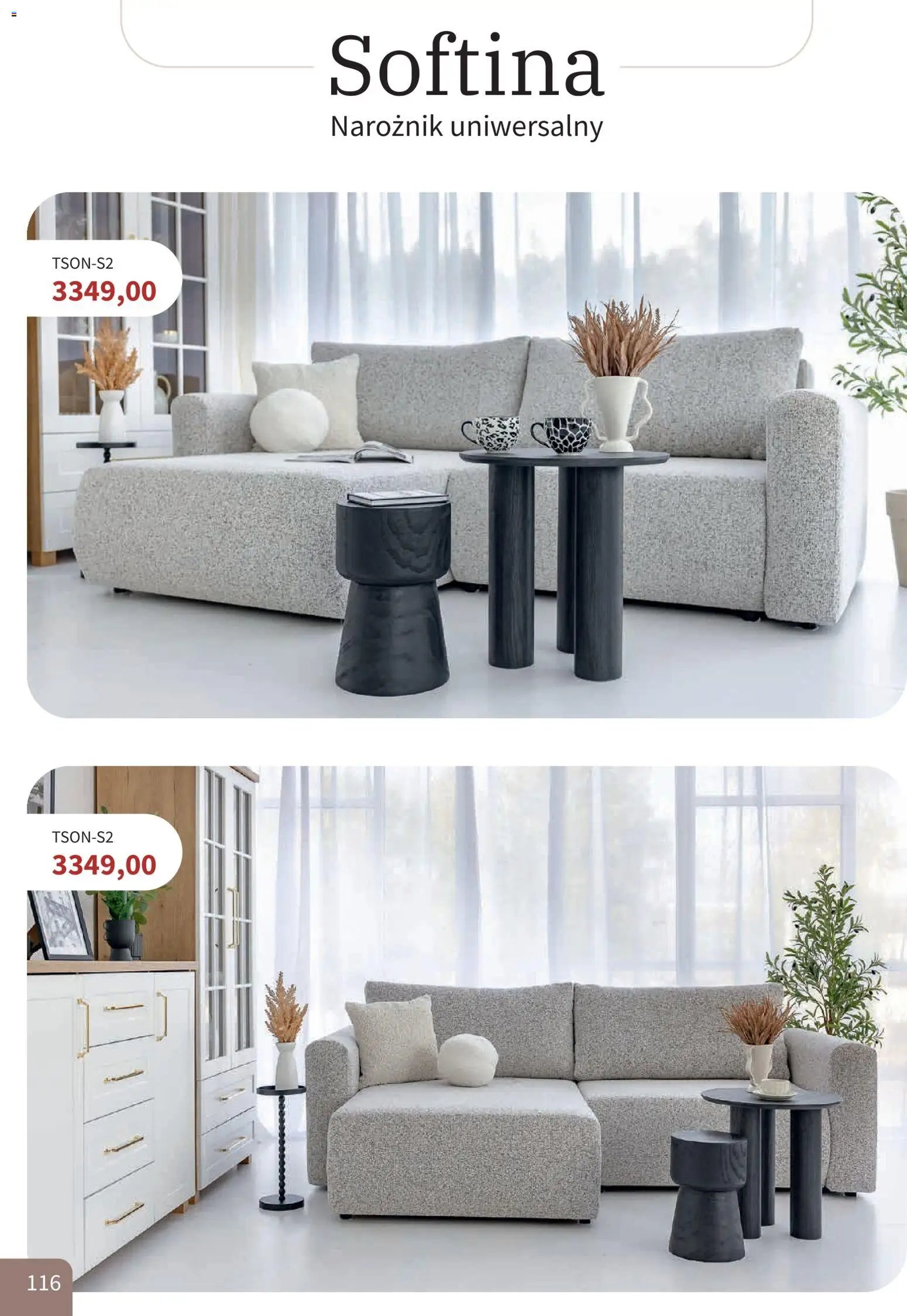 Bodzio Katalog