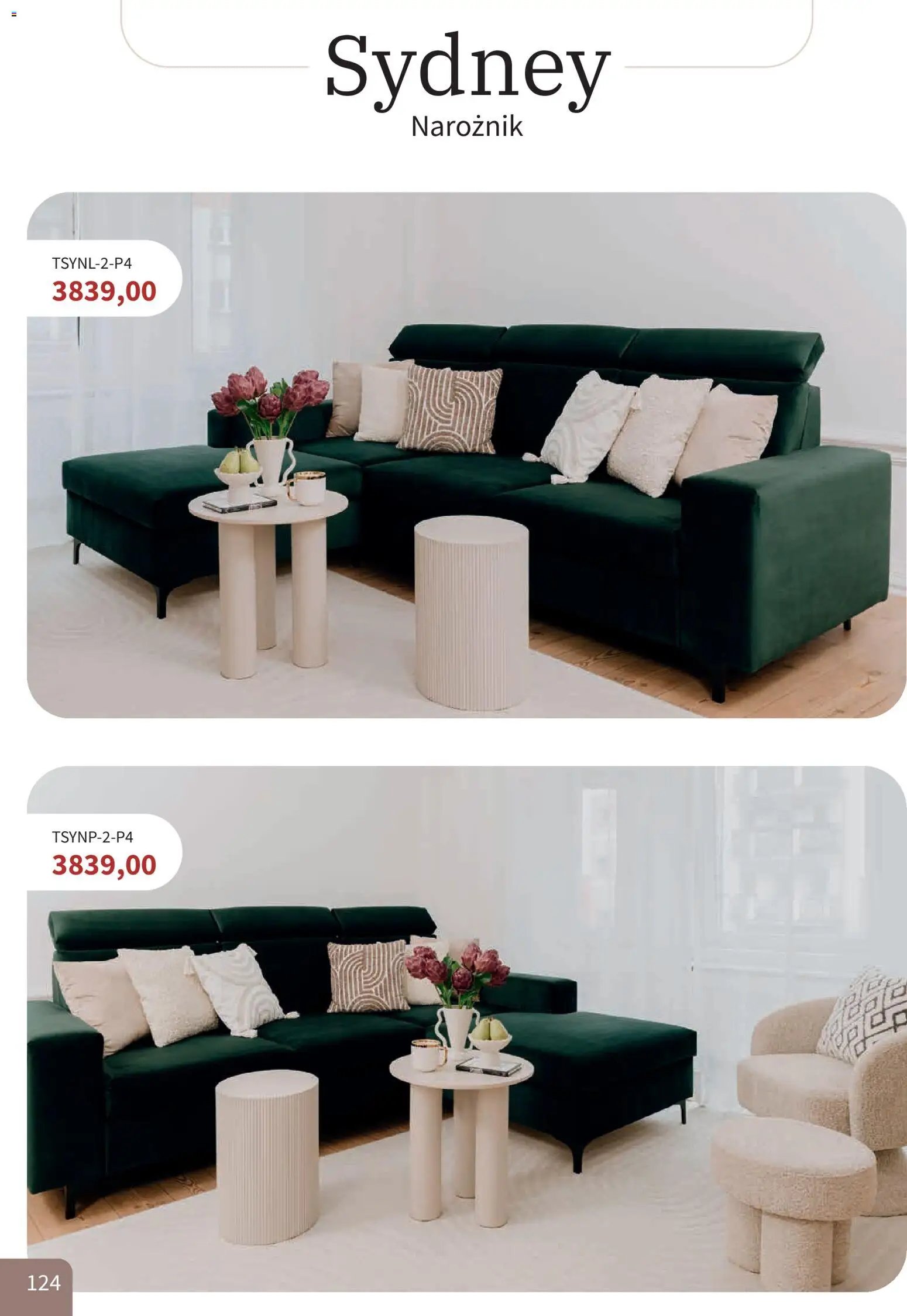 Bodzio Katalog