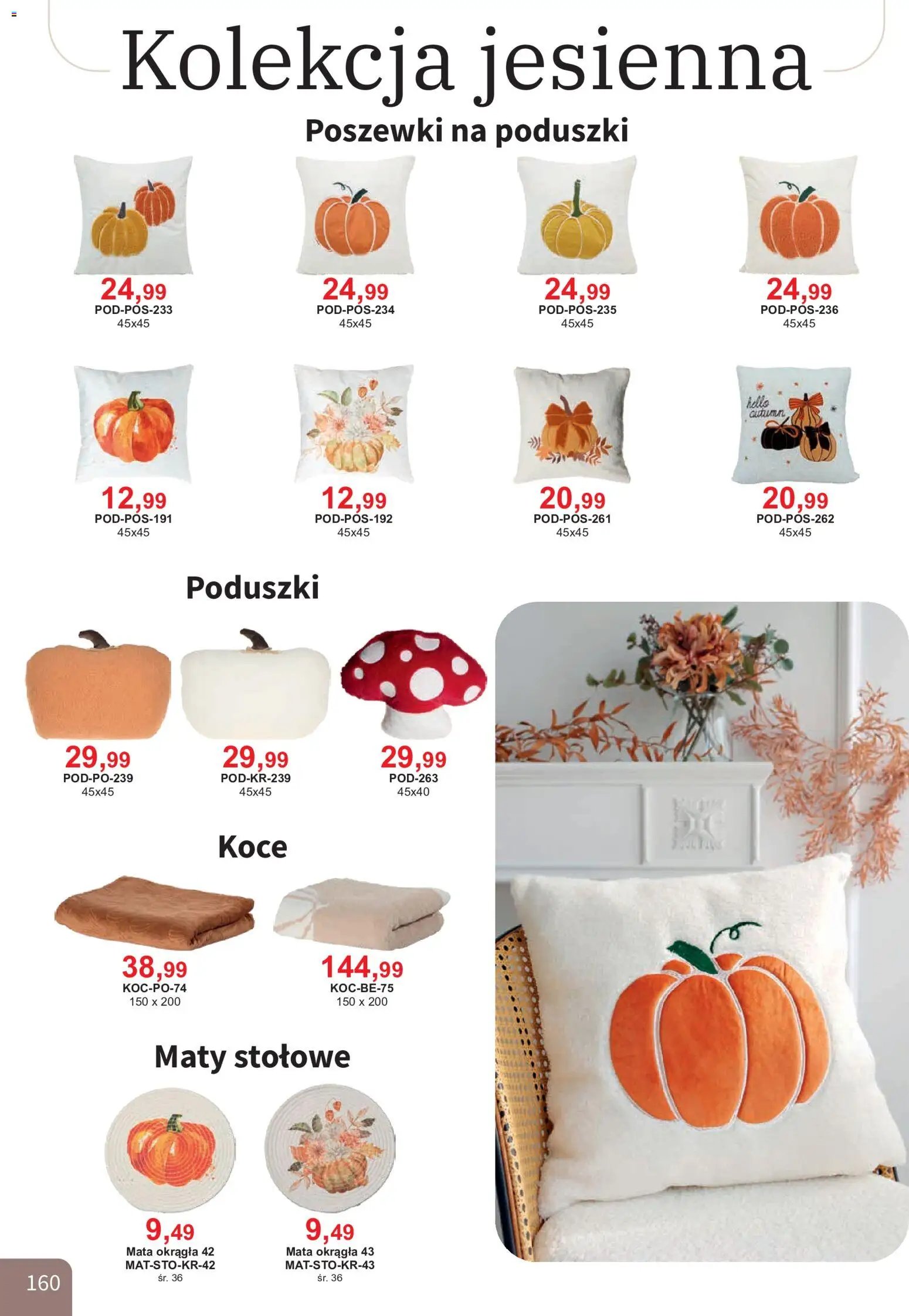 Bodzio Katalog