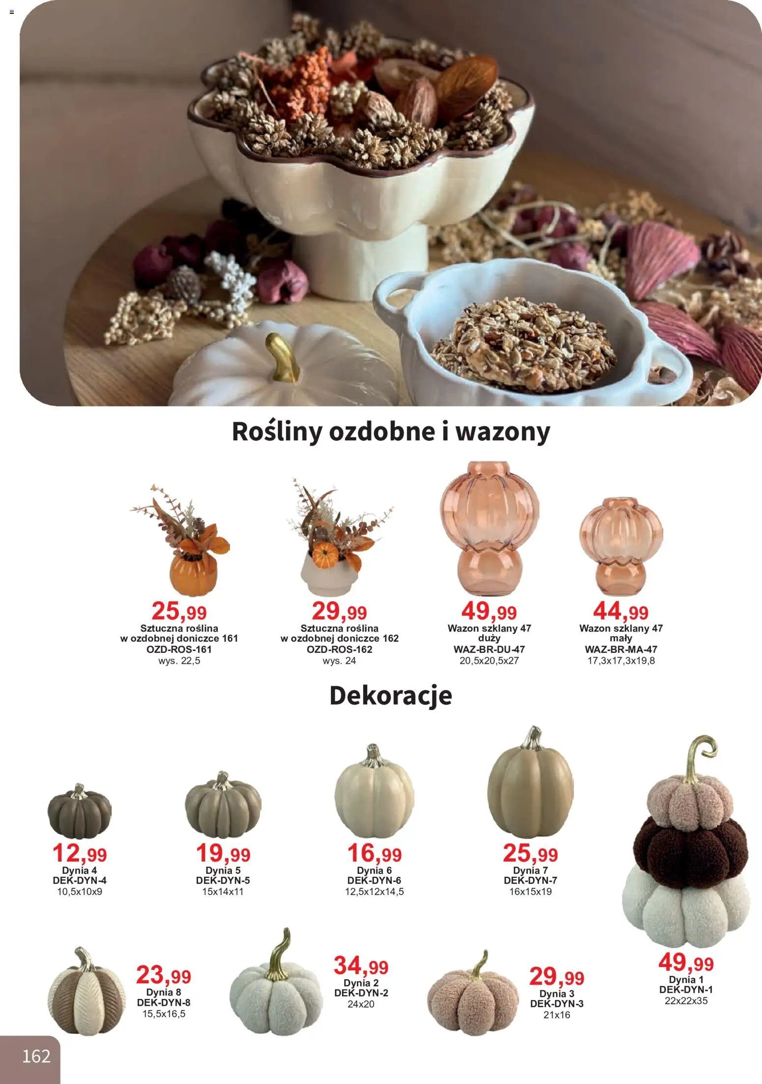 Bodzio Katalog