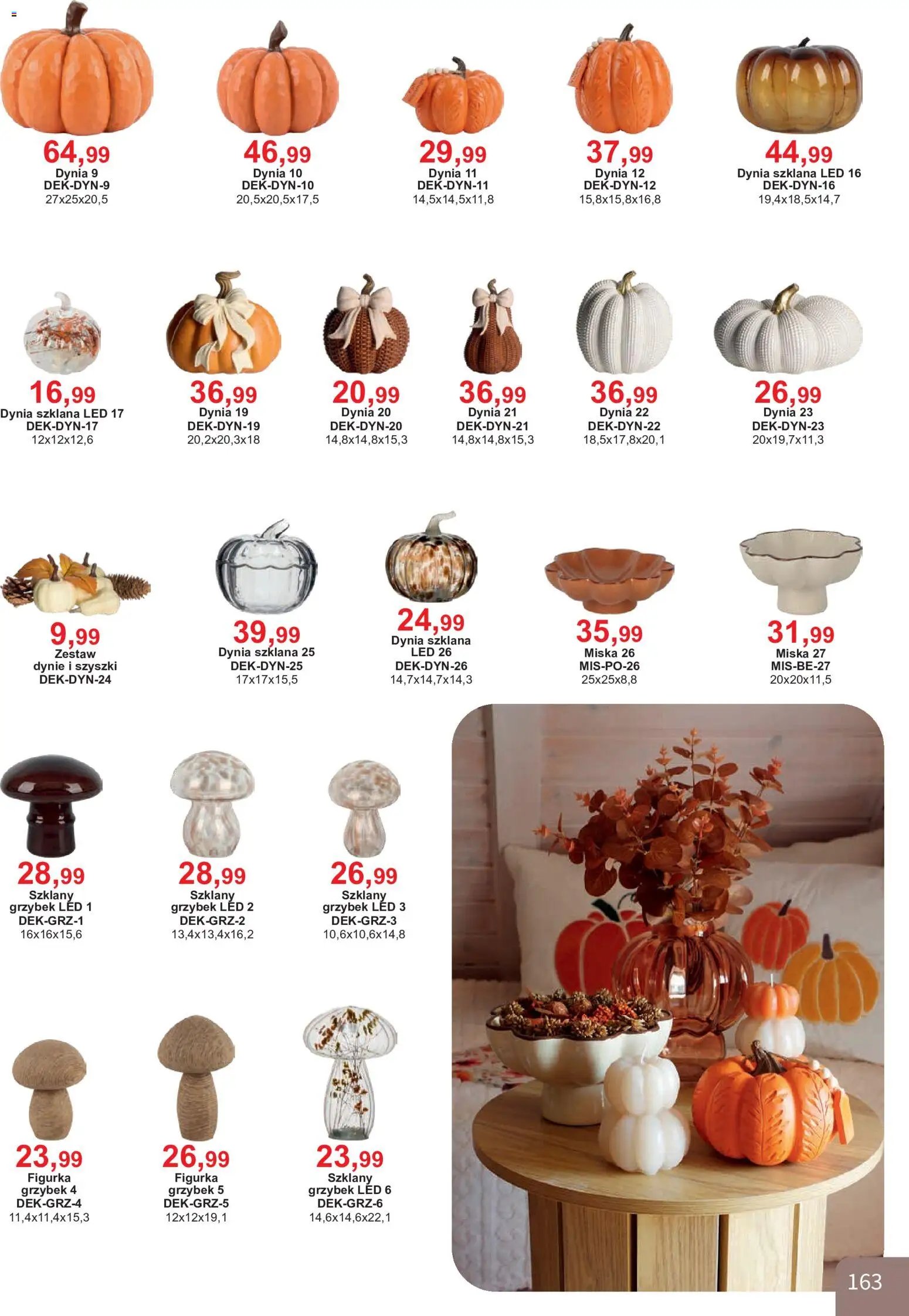 Bodzio Katalog