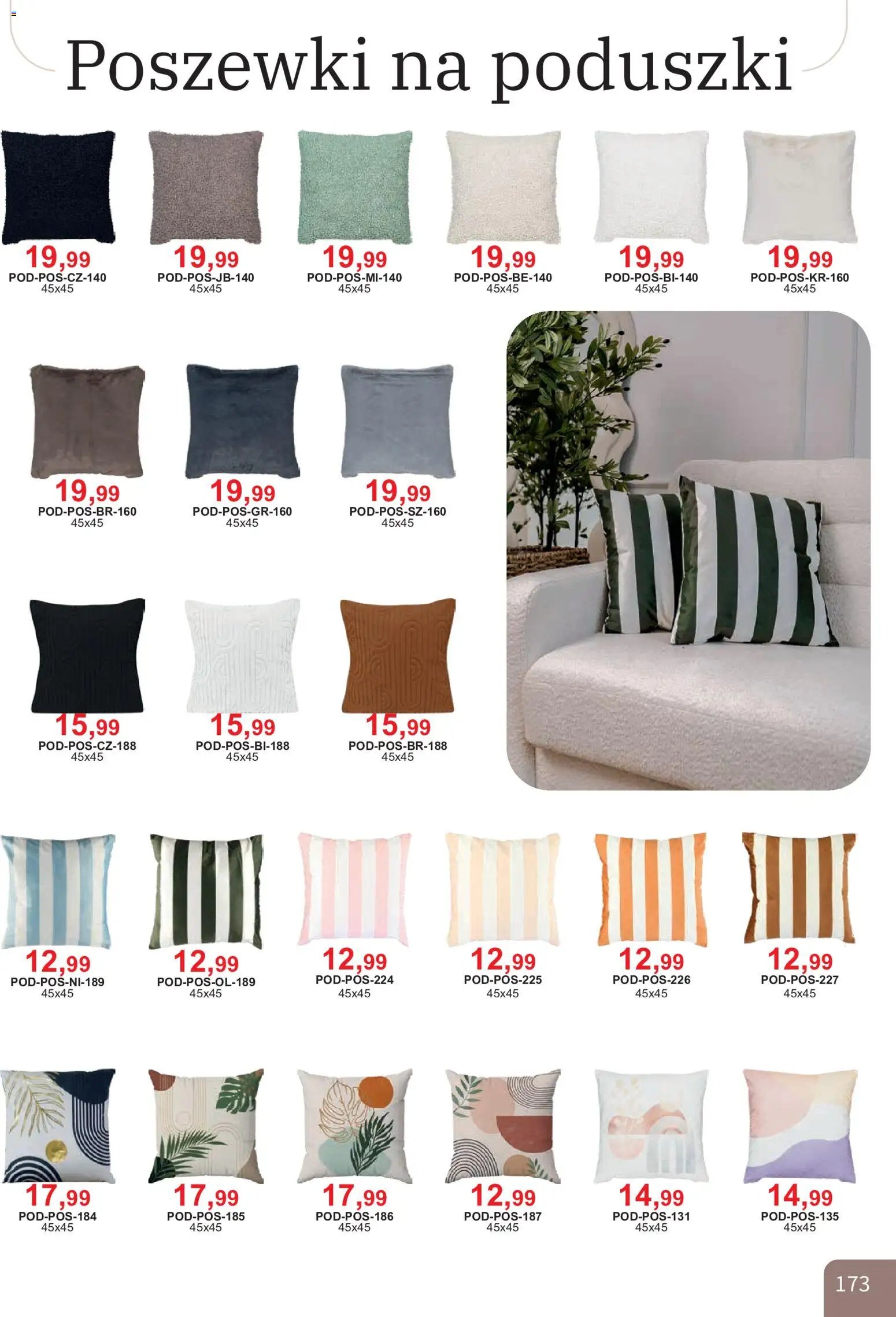 Bodzio Katalog