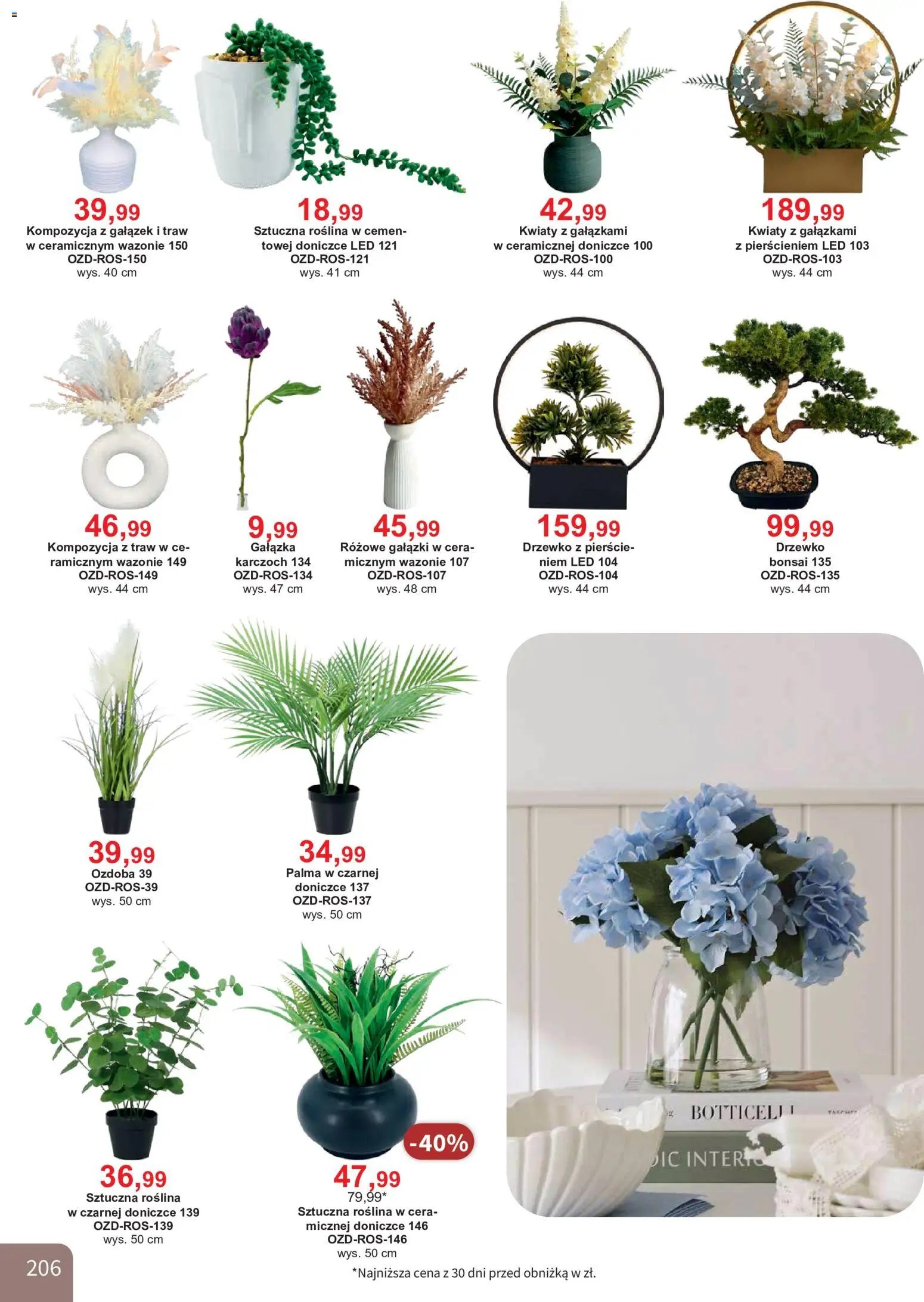 Bodzio Katalog