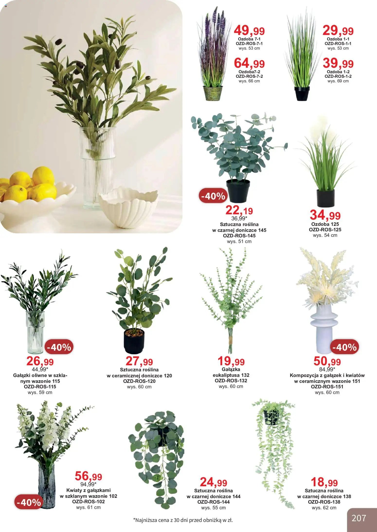 Bodzio Katalog