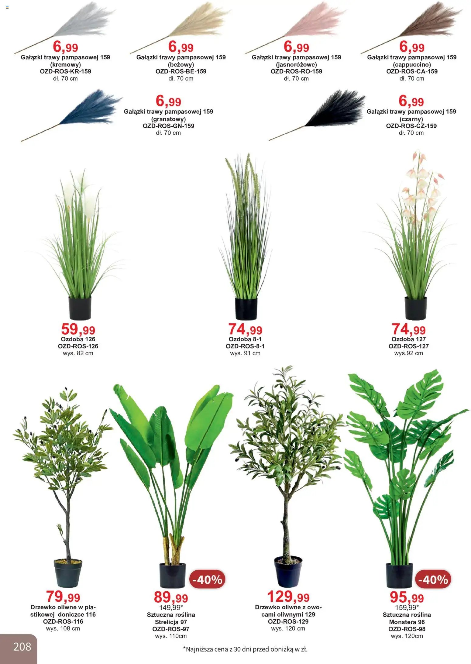 Bodzio Katalog