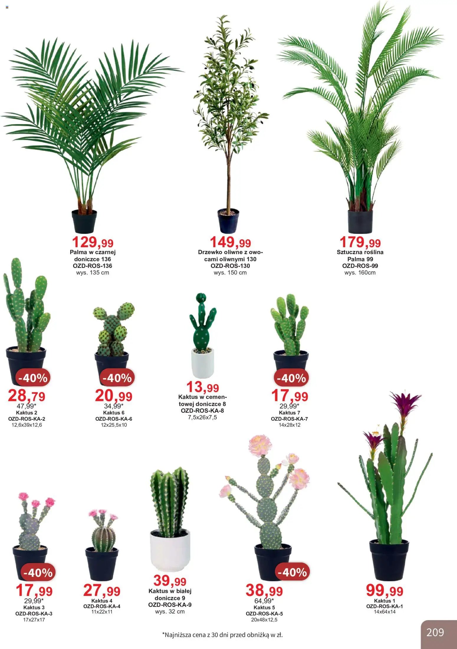 Bodzio Katalog