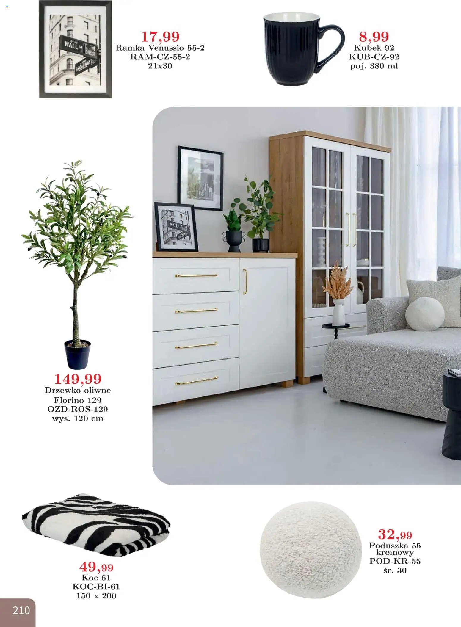 Bodzio Katalog