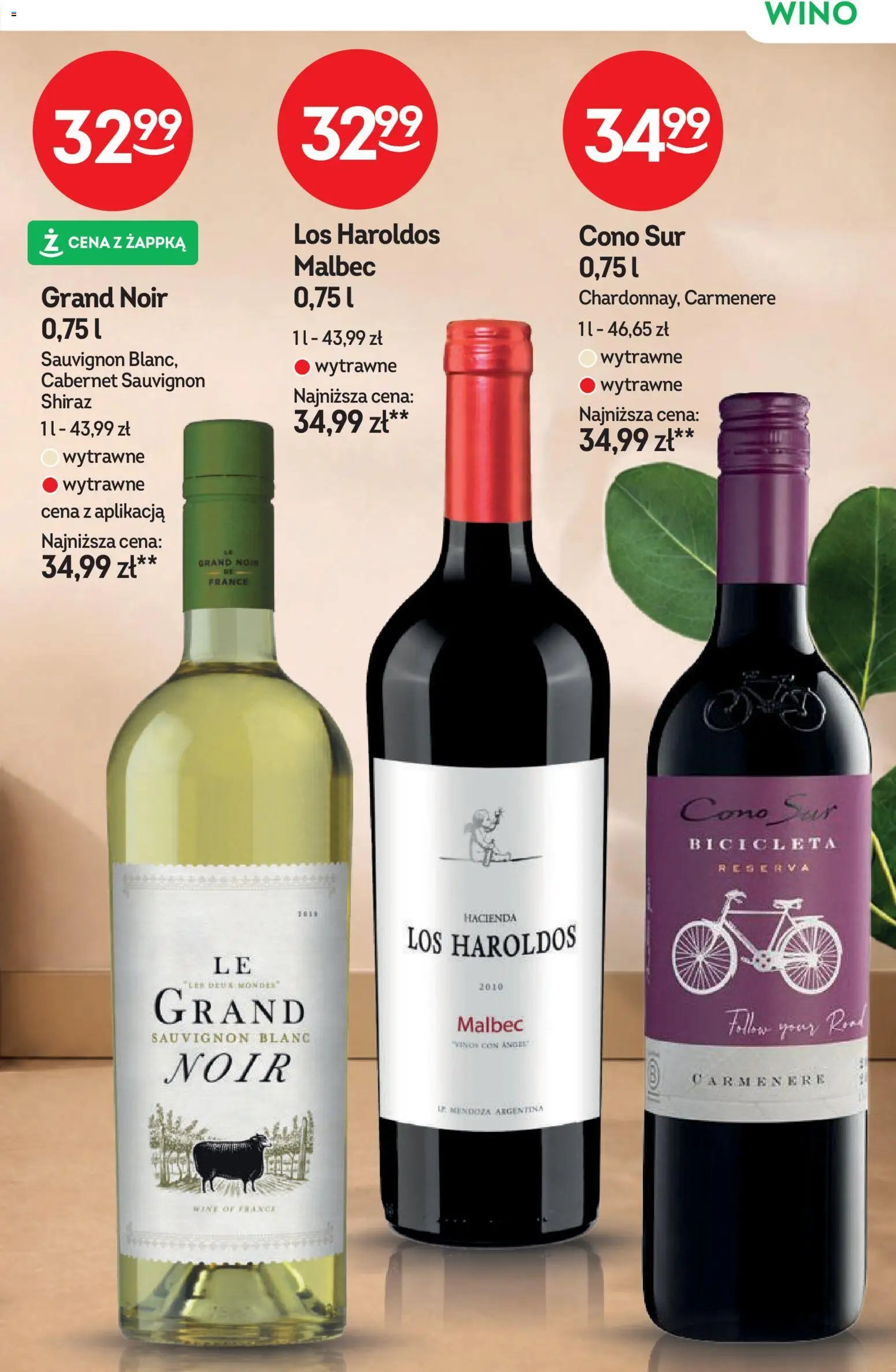 Żabka gazetka - Katalog win