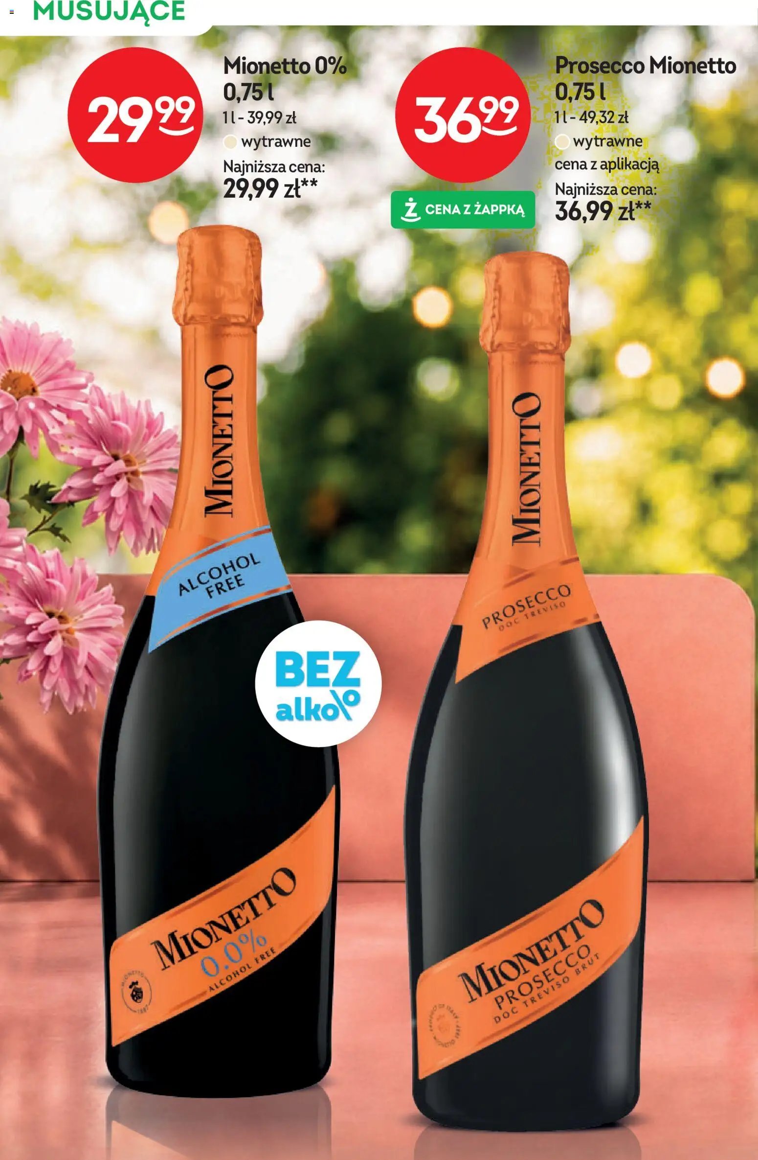 Żabka gazetka - Katalog win