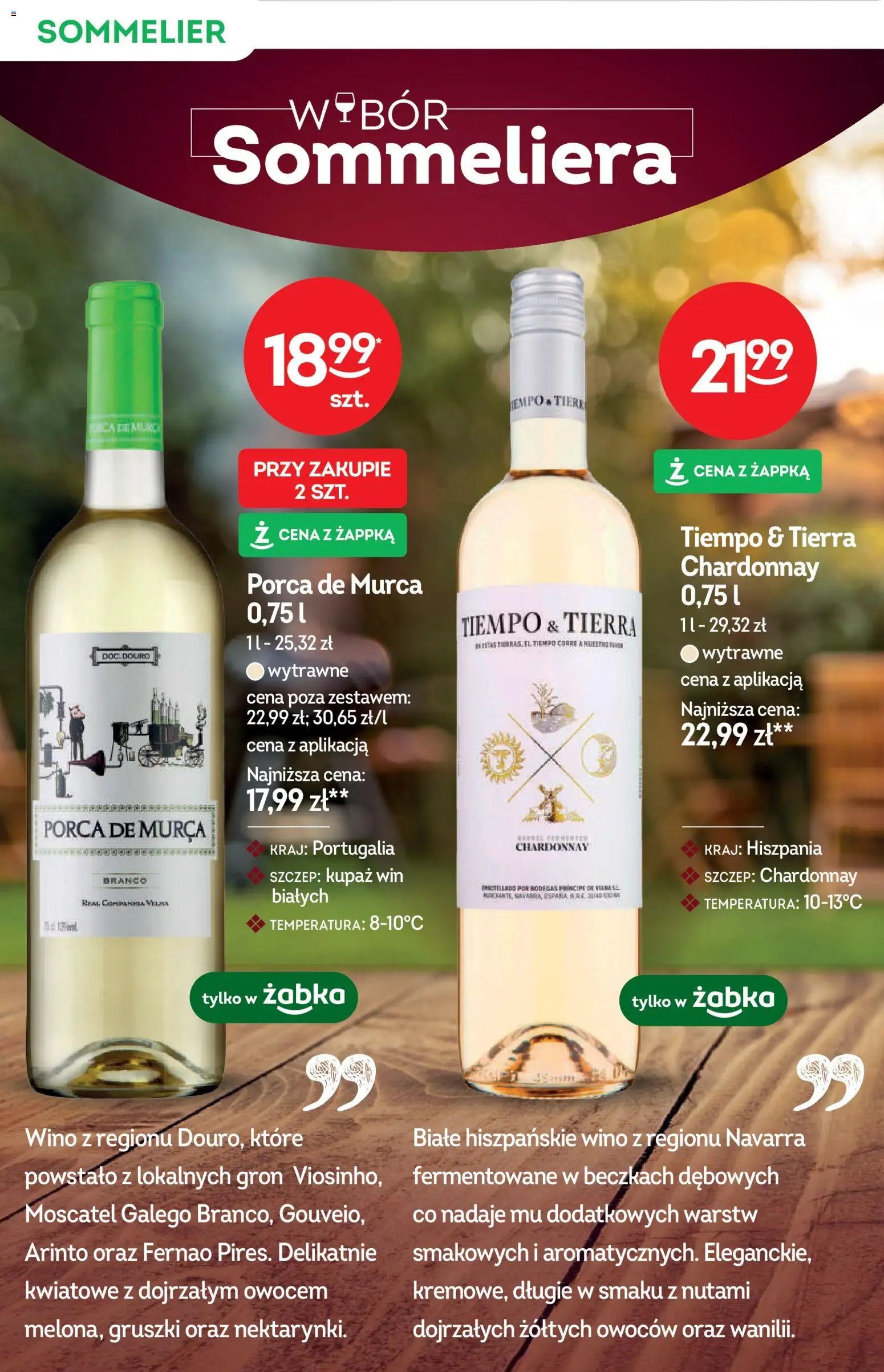 Żabka gazetka - Katalog win