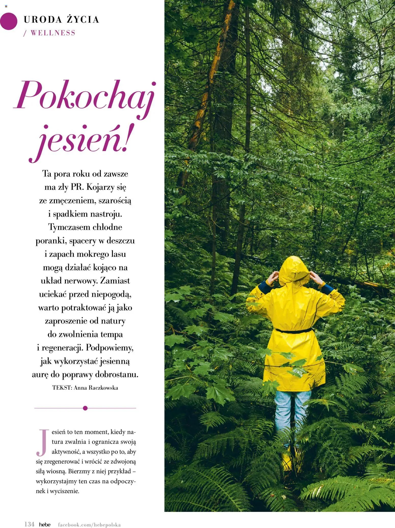 Hebe gazetka - Magazyn