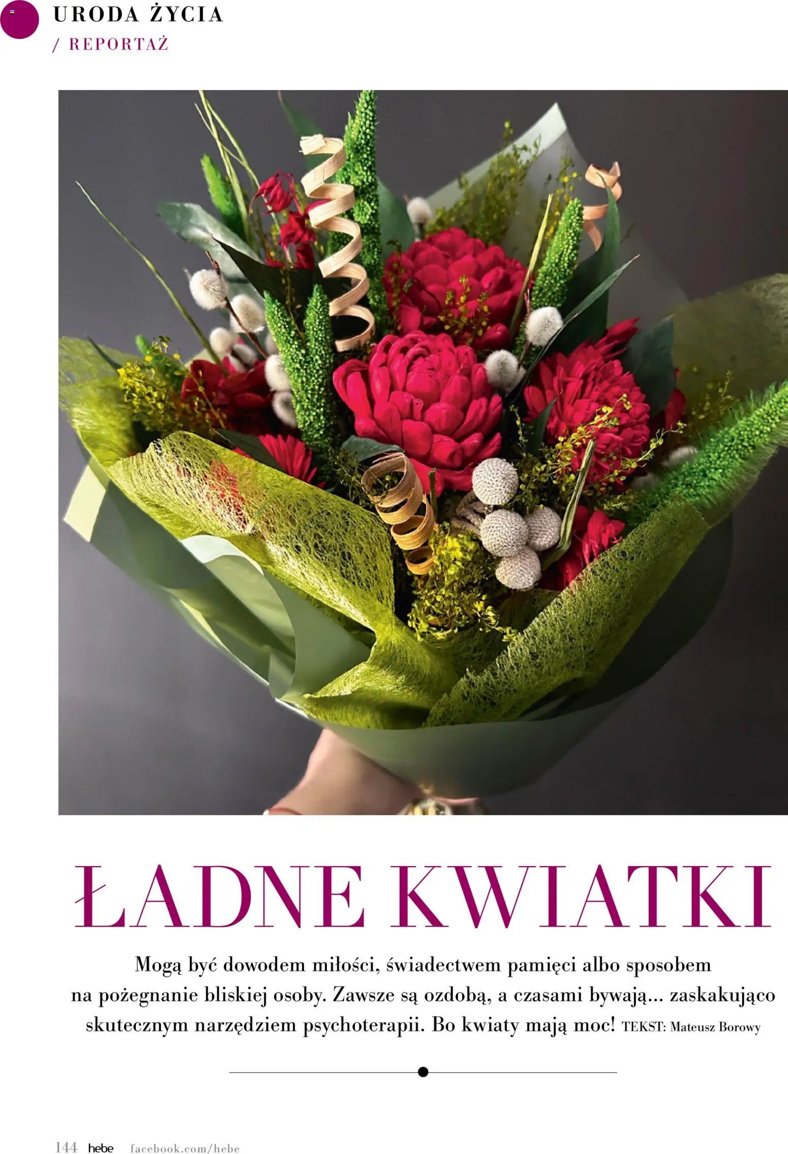 Hebe gazetka - Magazyn