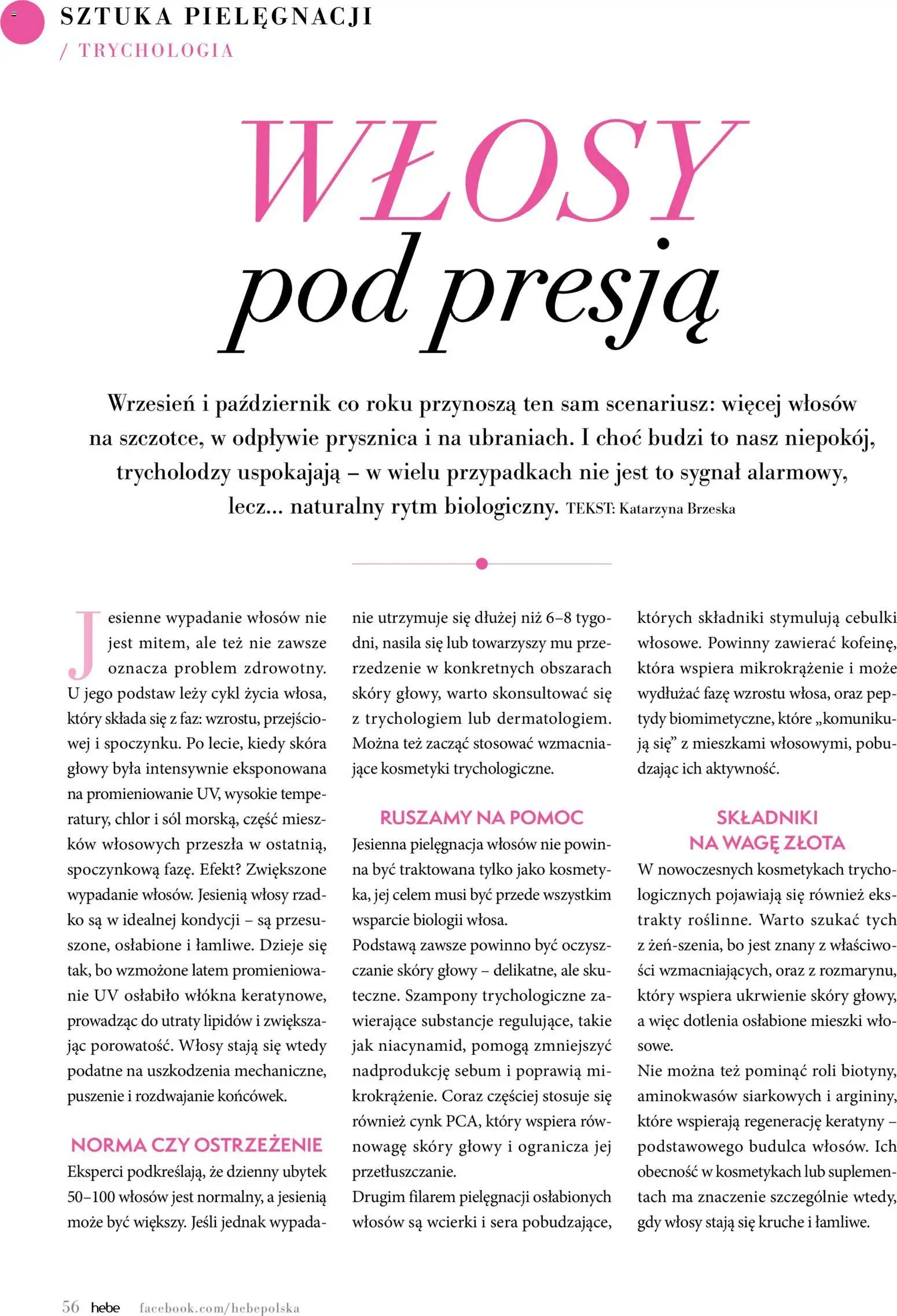 Hebe gazetka - Magazyn