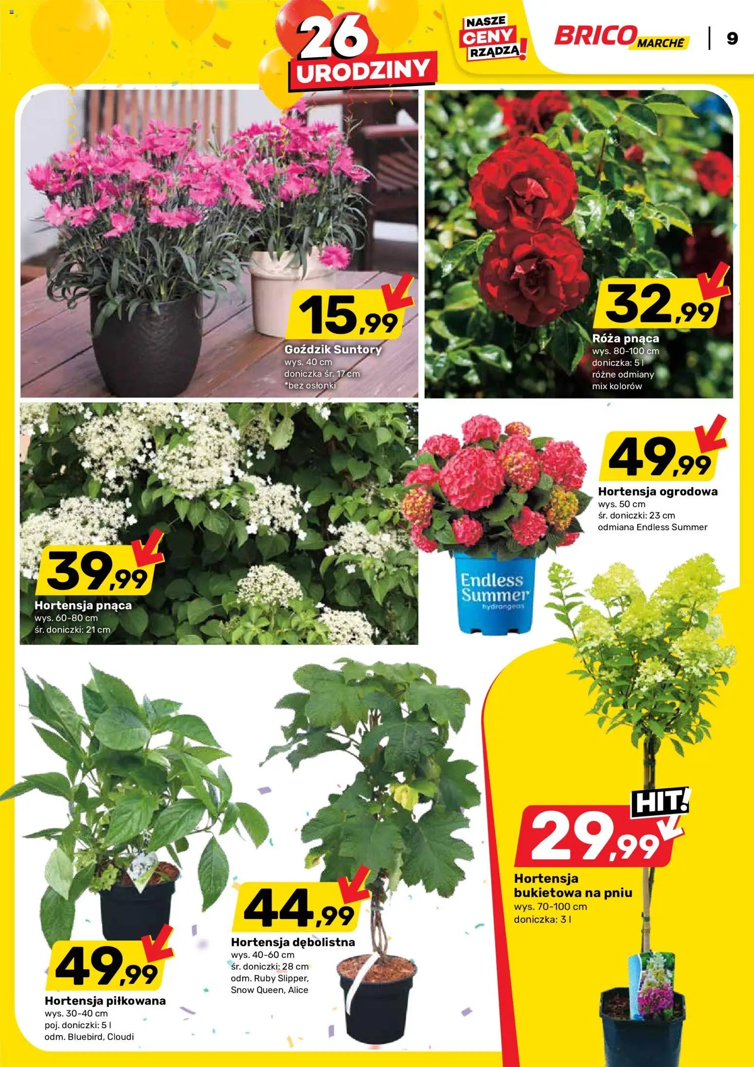 Brico Marché gazetka