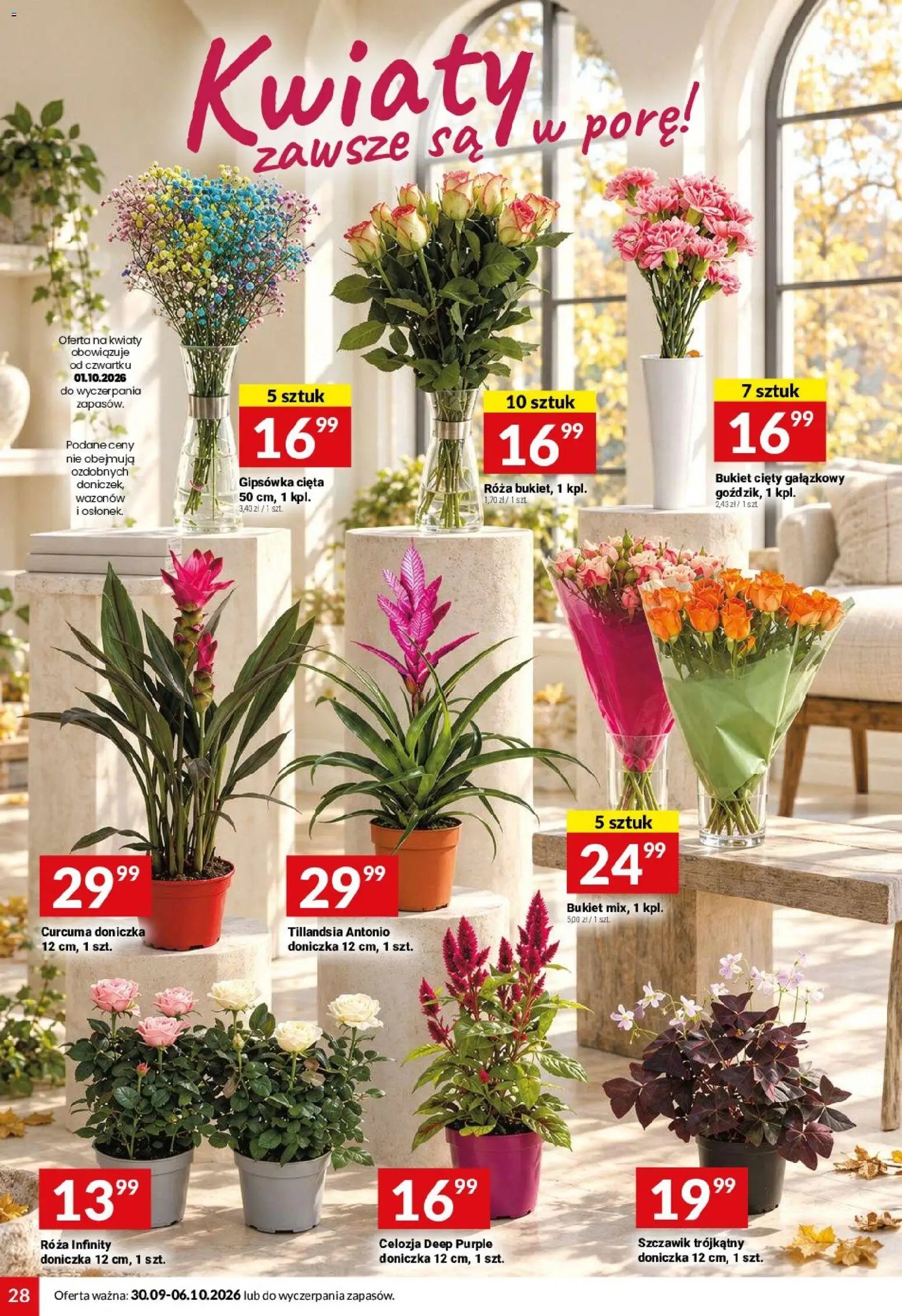 Twój Market gazetka
