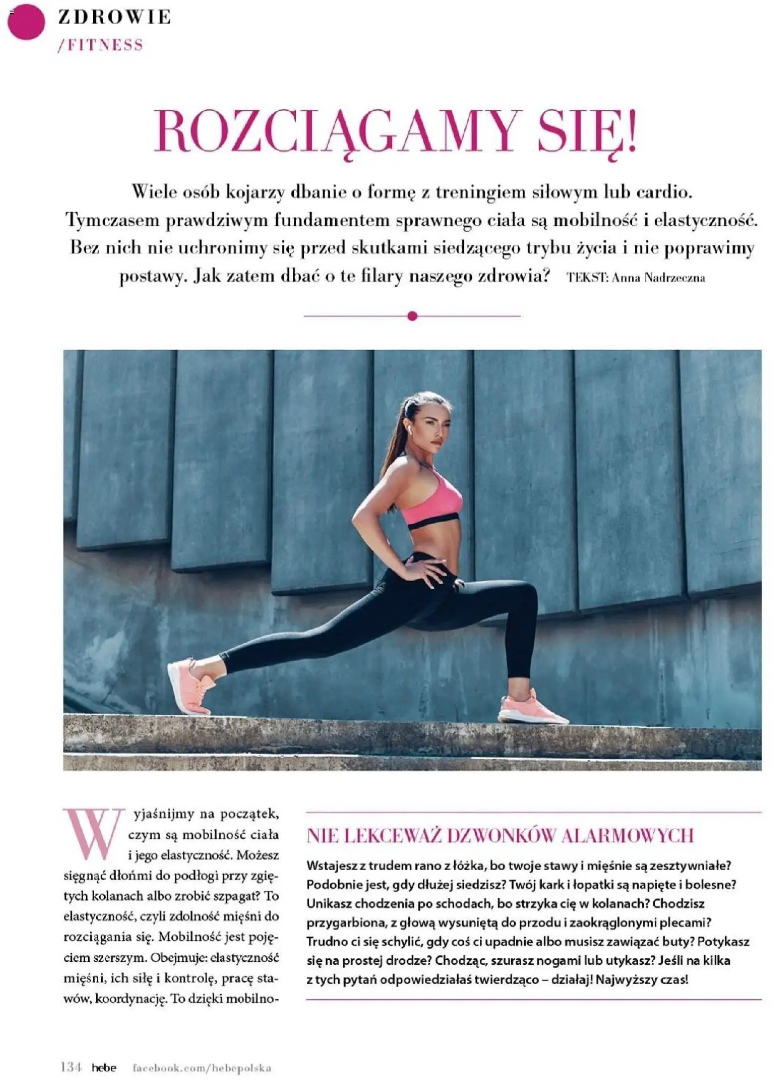 Hebe gazetka - Magazyn