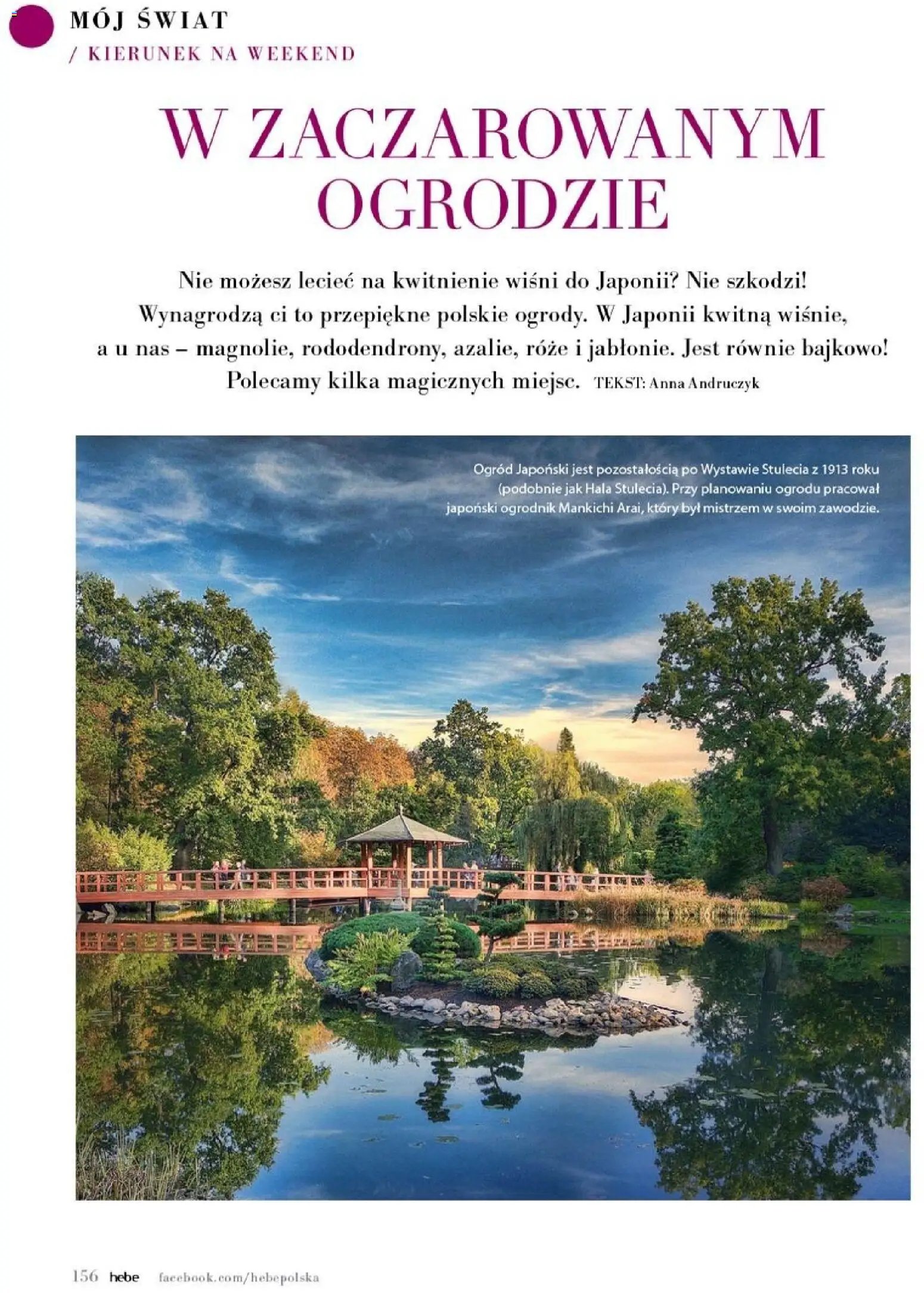 Hebe gazetka - Magazyn