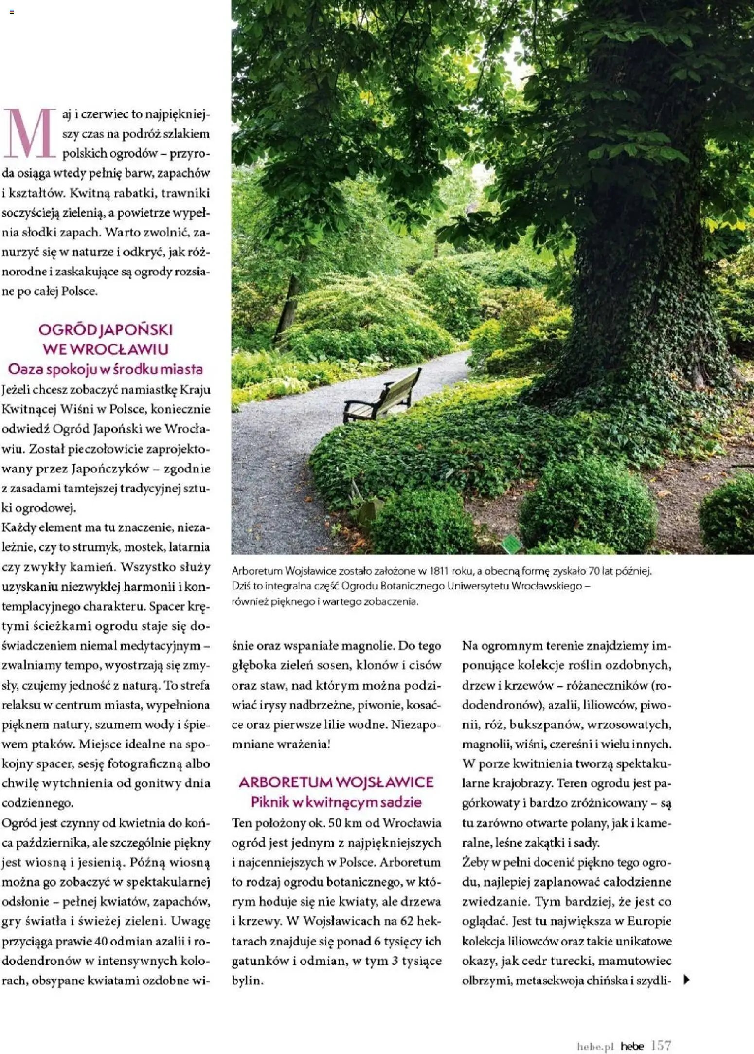 Hebe gazetka - Magazyn