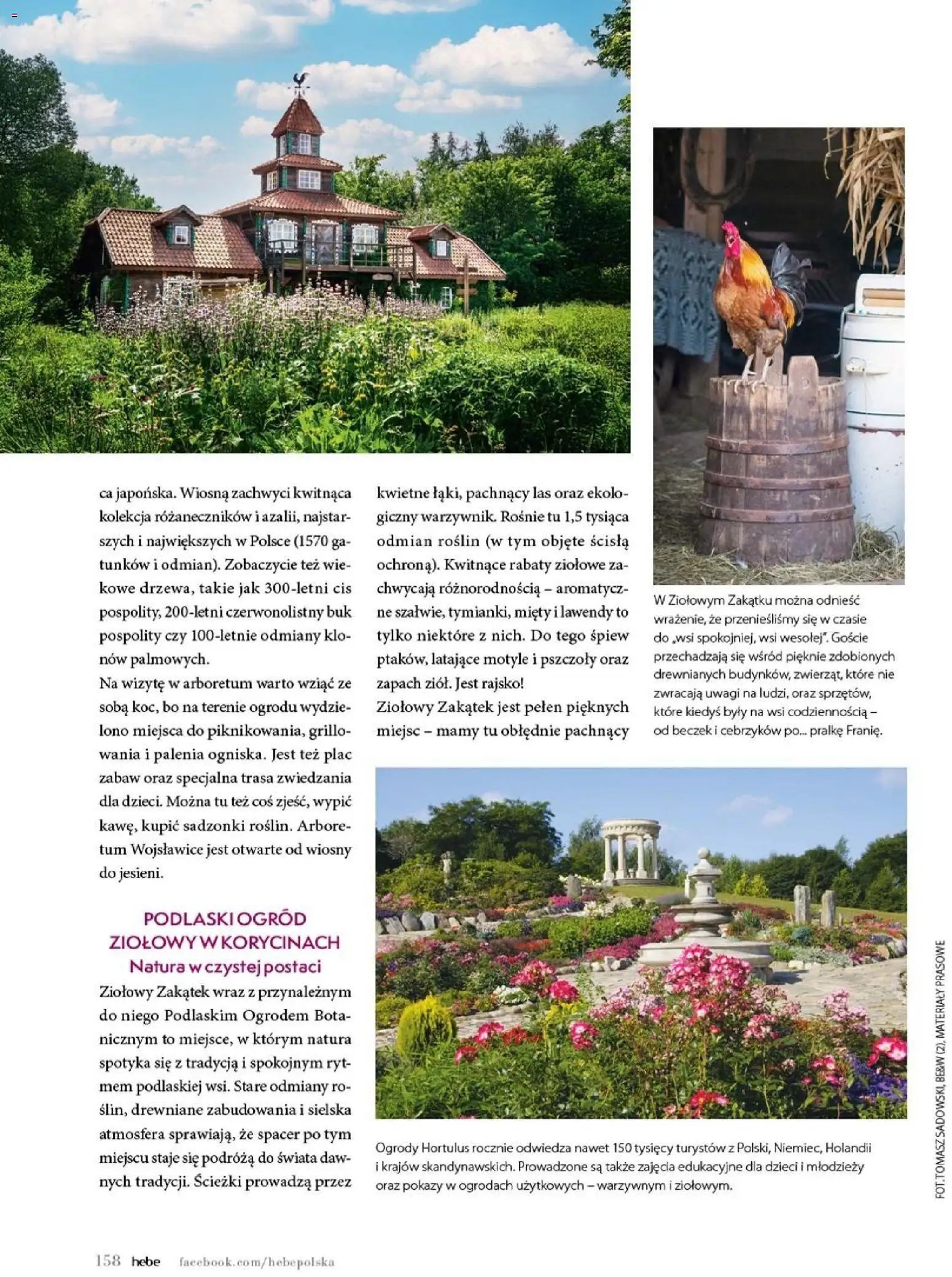 Hebe gazetka - Magazyn