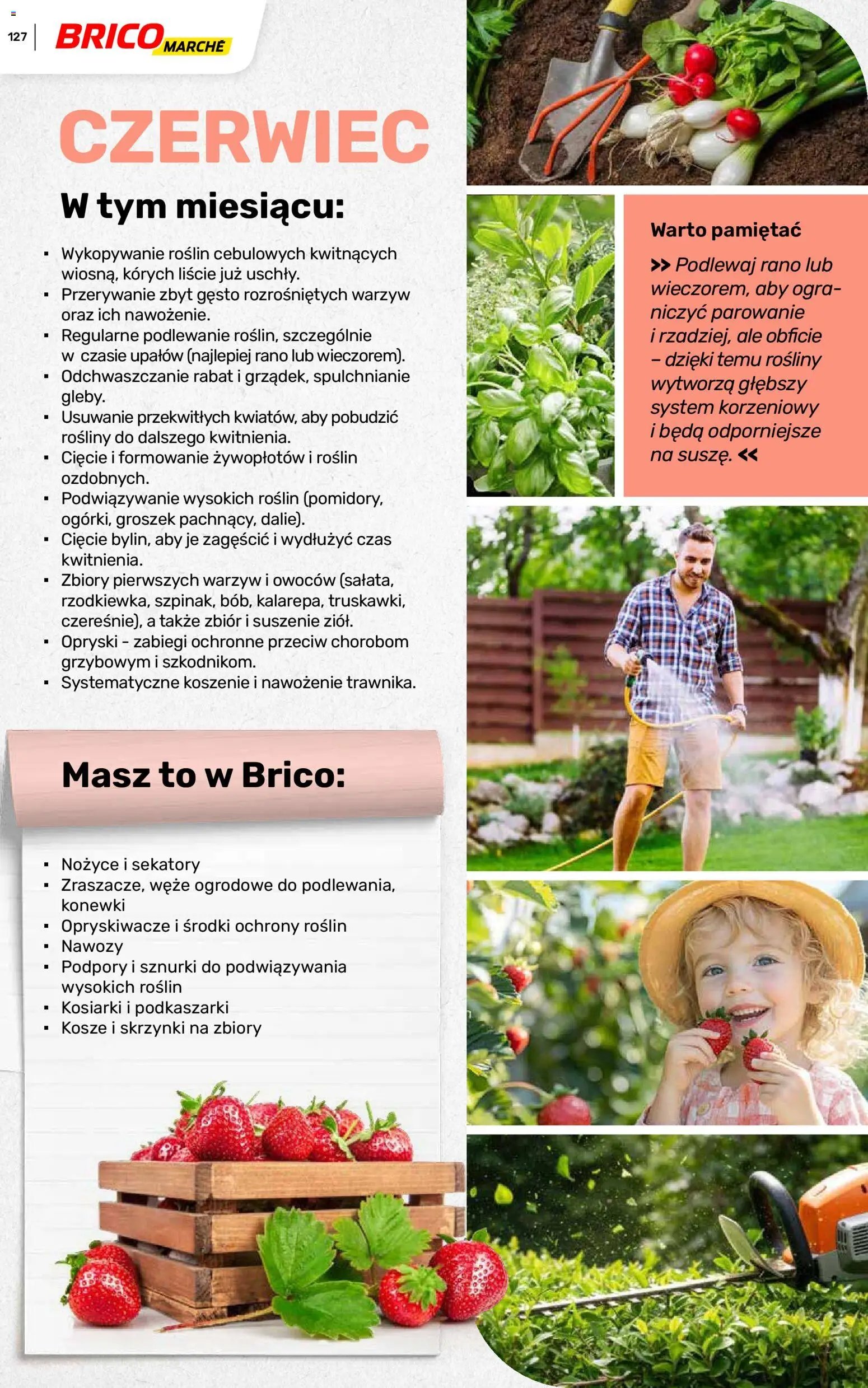 Brico Marché gazetka - Wiosna