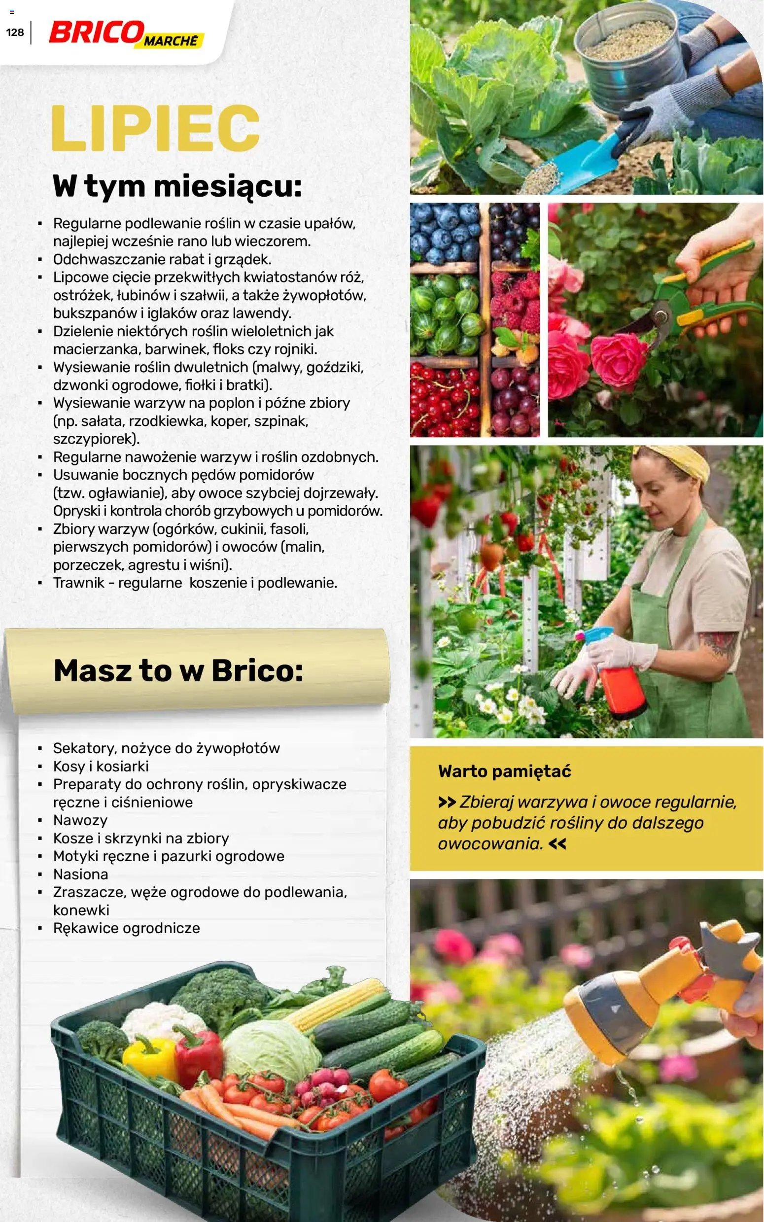 Brico Marché gazetka - Wiosna