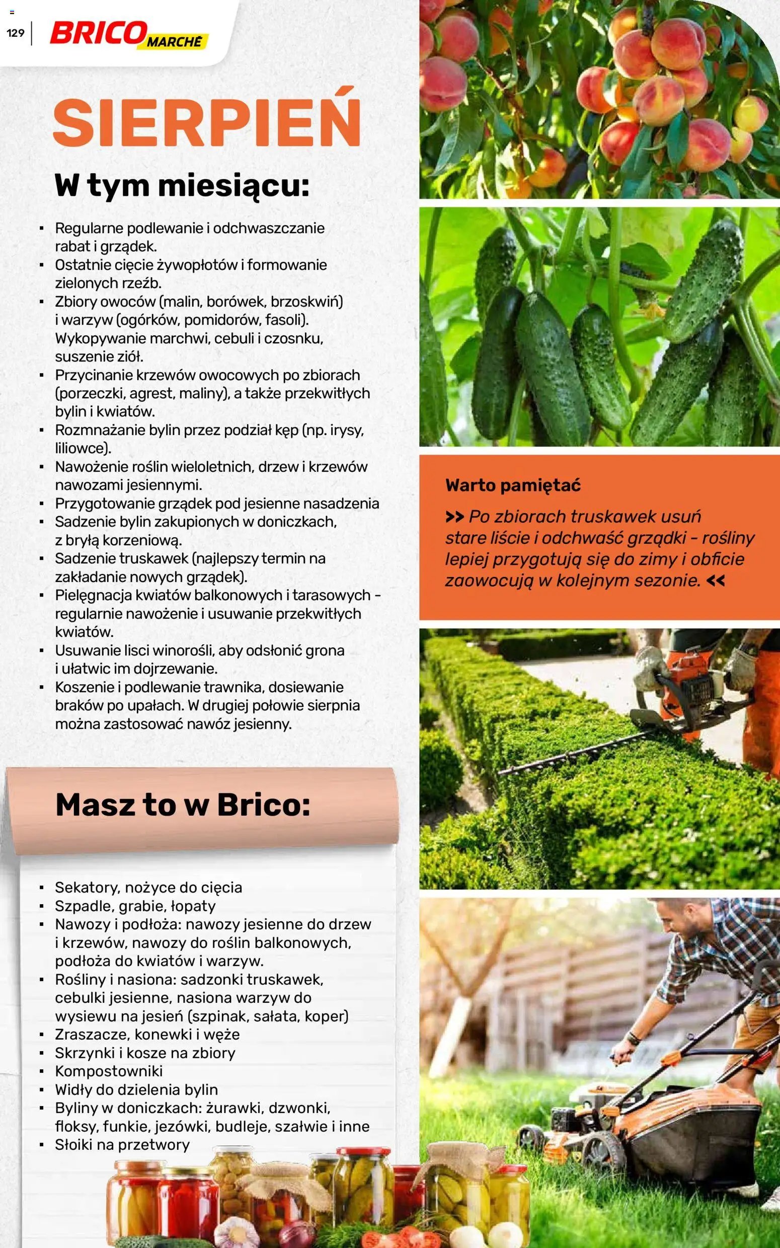 Brico Marché gazetka - Wiosna