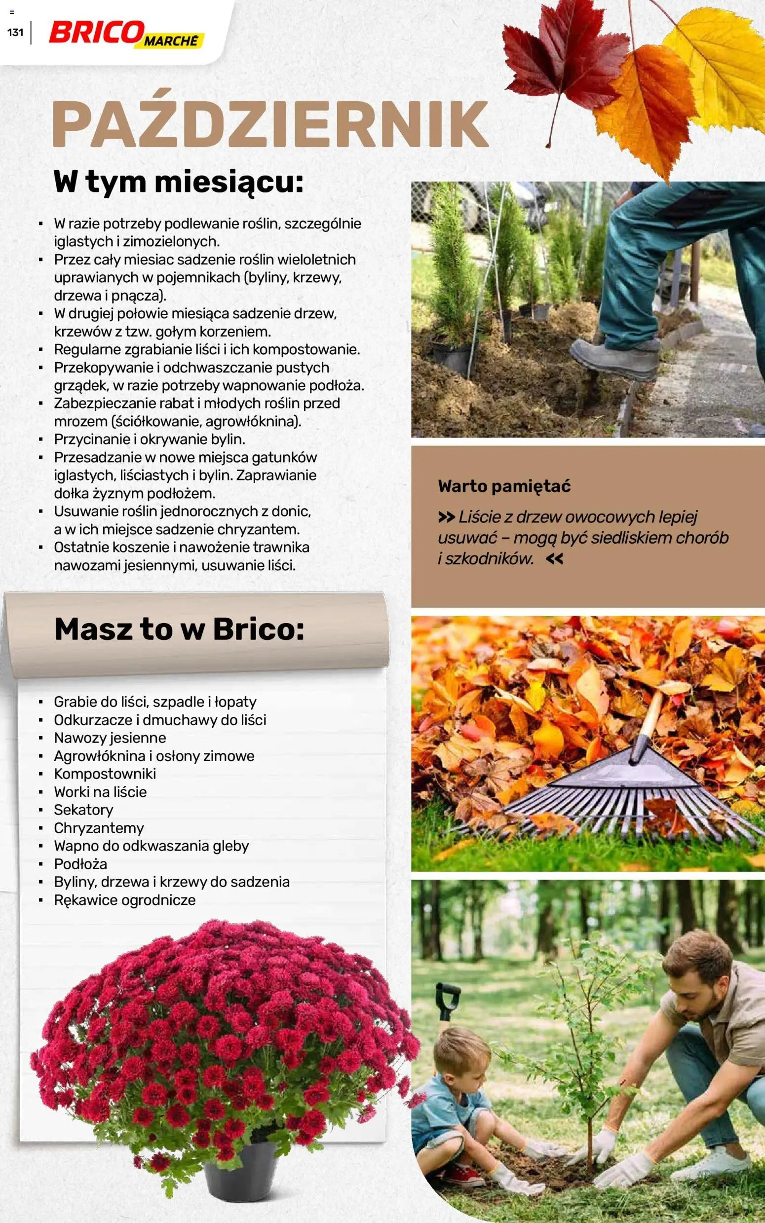 Brico Marché gazetka - Wiosna