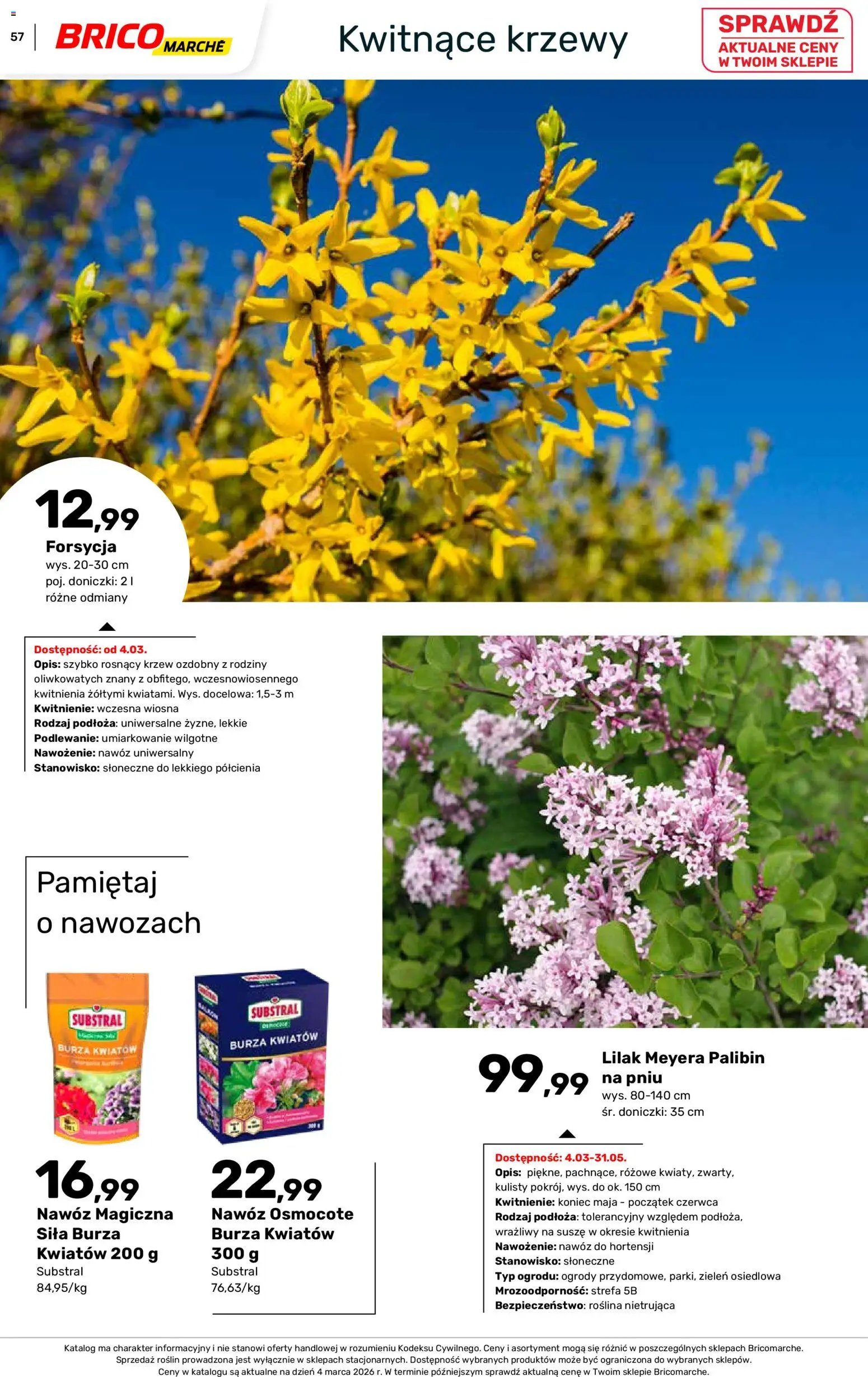 Brico Marché gazetka - Wiosna