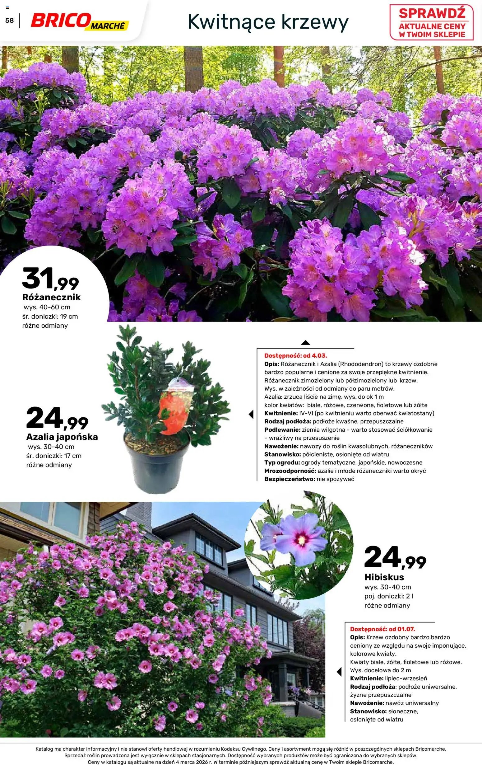 Brico Marché gazetka - Wiosna