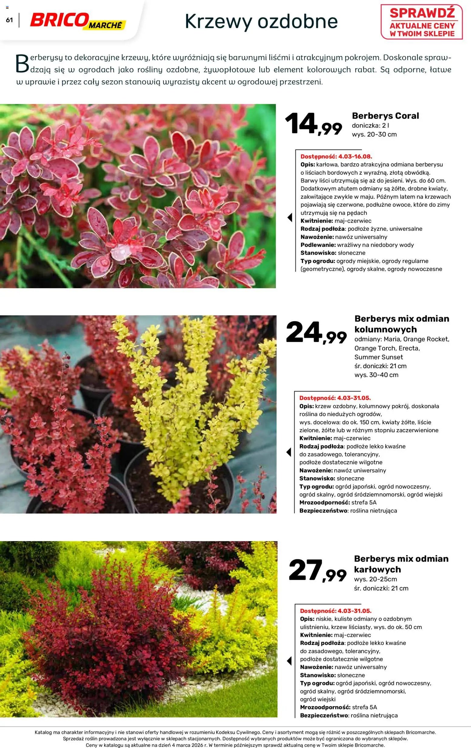 Brico Marché gazetka - Wiosna