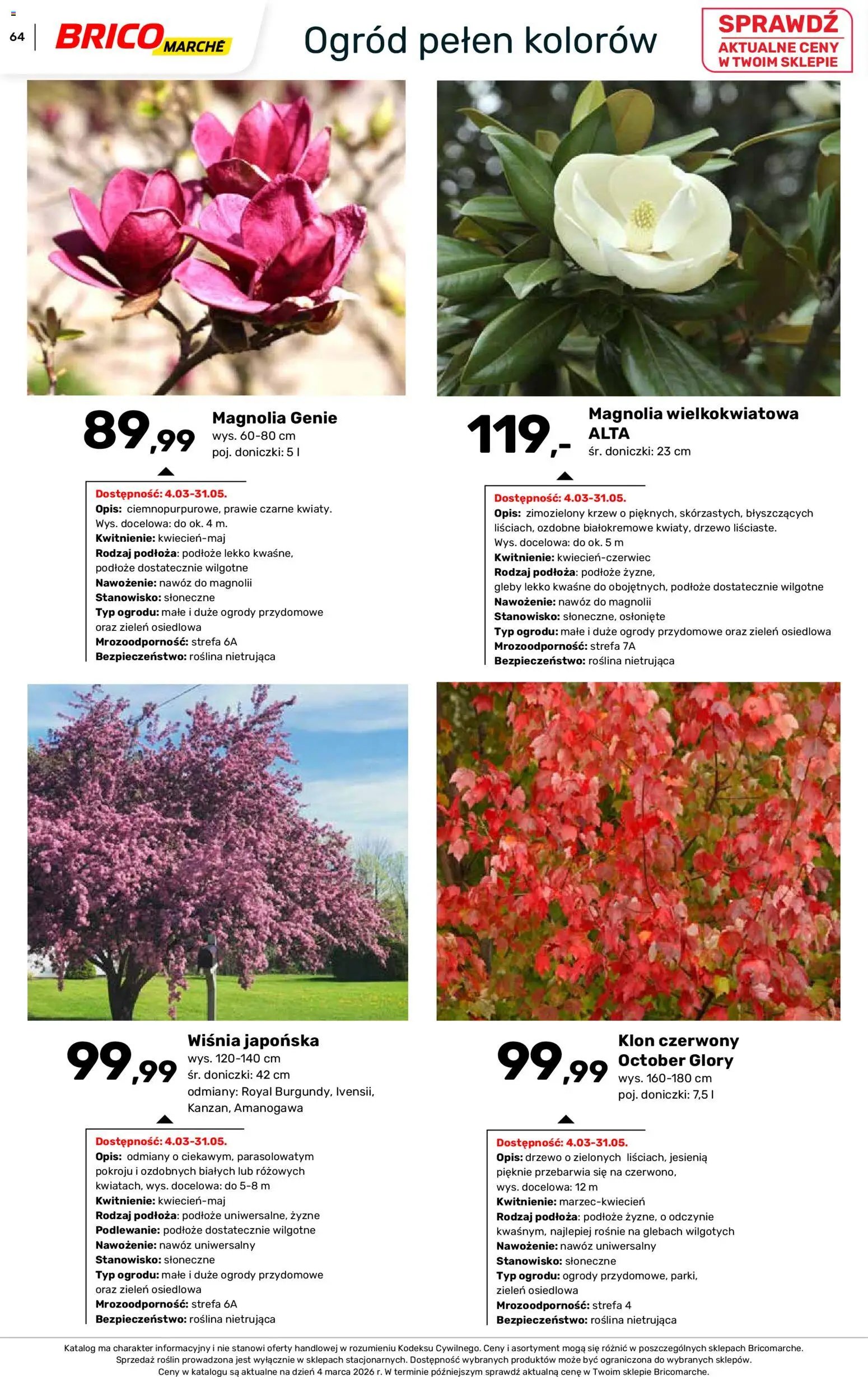 Brico Marché gazetka - Wiosna