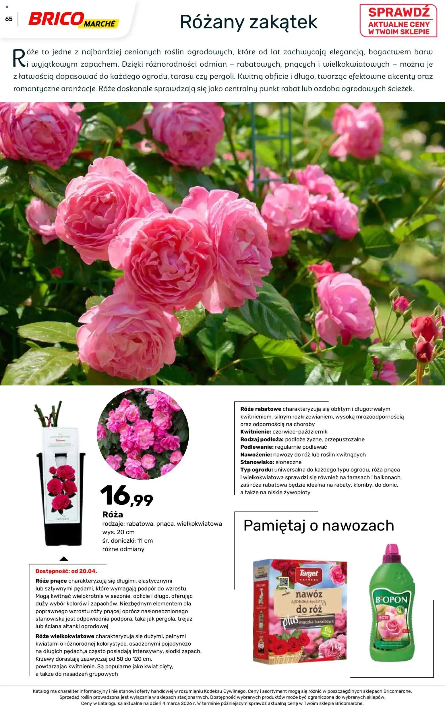 Brico Marché gazetka - Wiosna