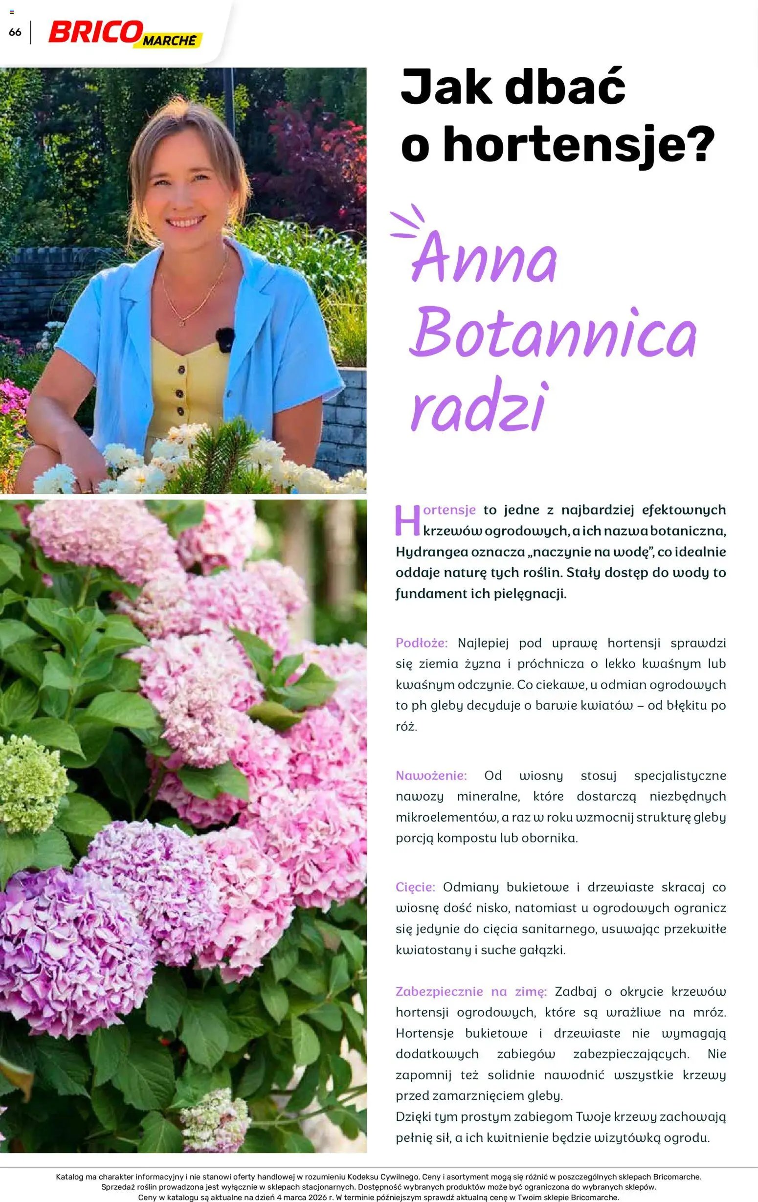 Brico Marché gazetka - Wiosna