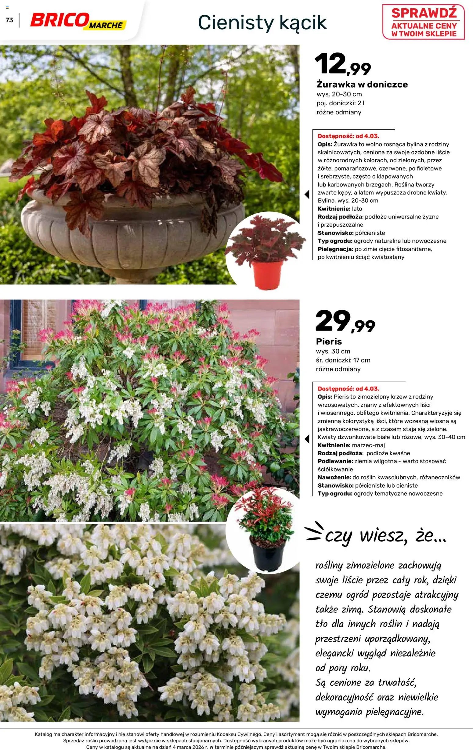 Brico Marché gazetka - Wiosna