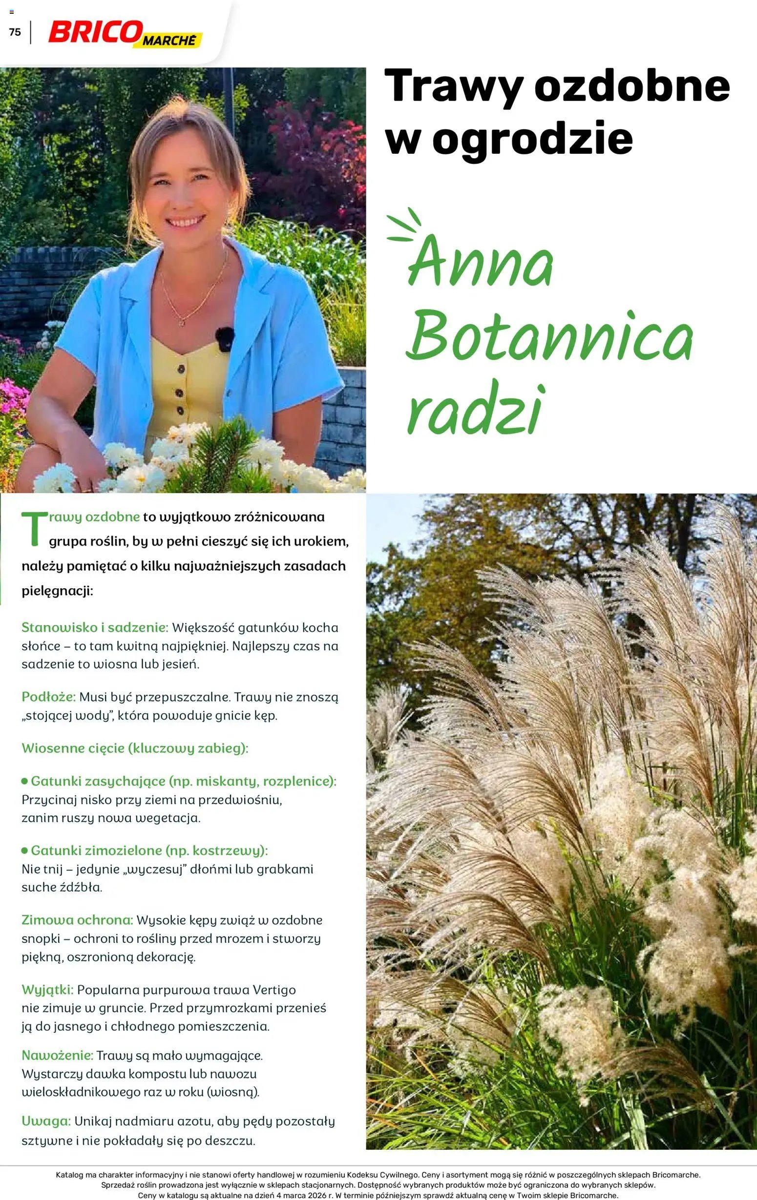 Brico Marché gazetka - Wiosna