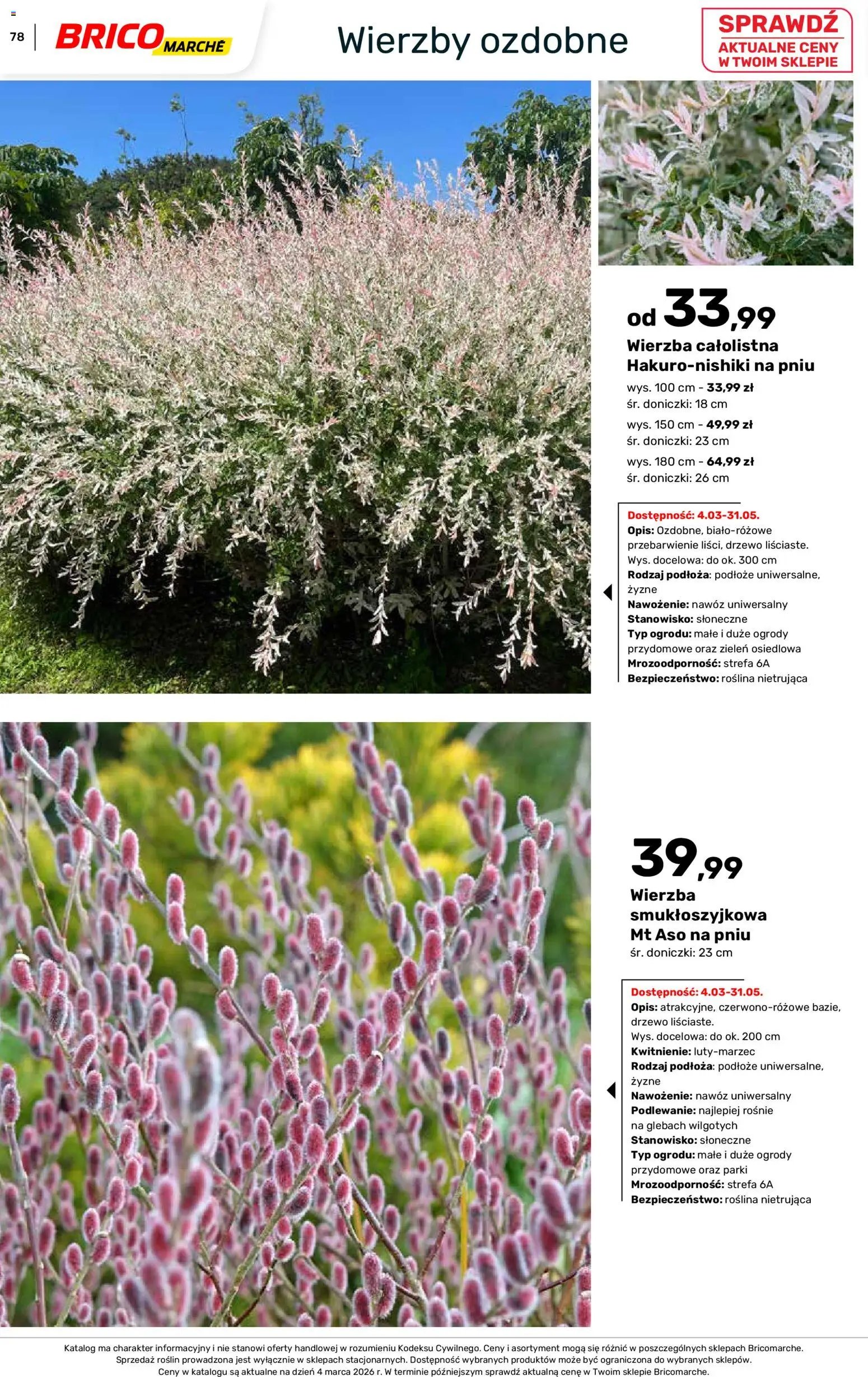 Brico Marché gazetka - Wiosna