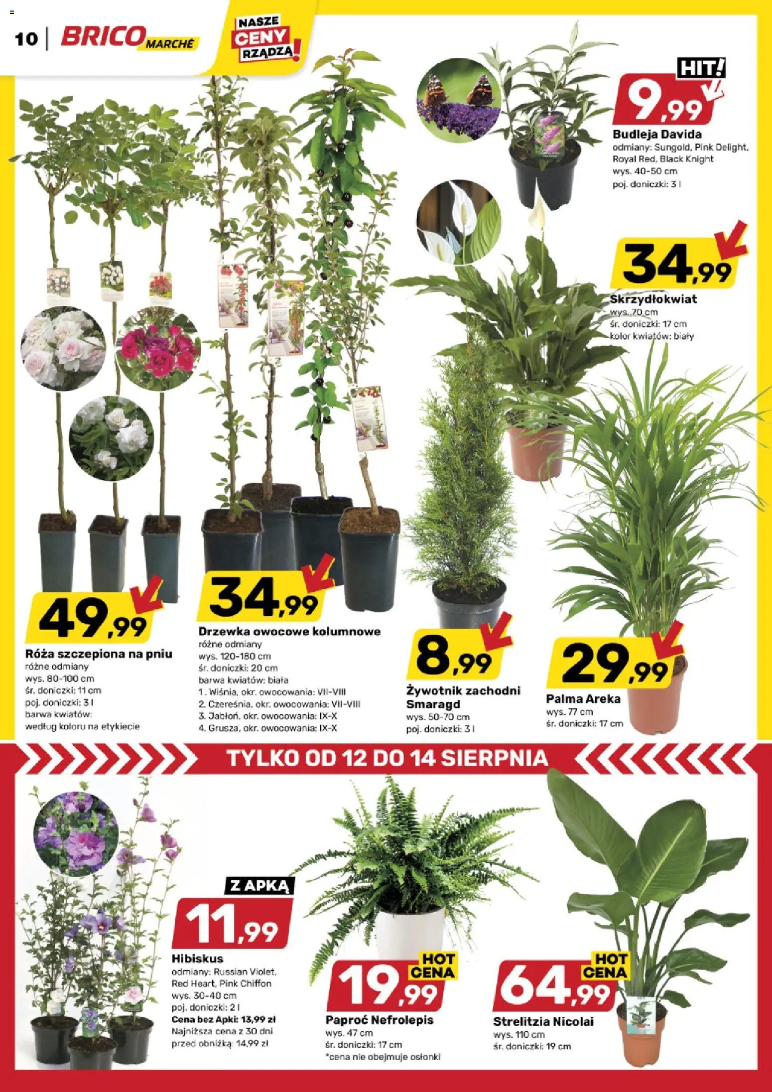 Brico Marché gazetka