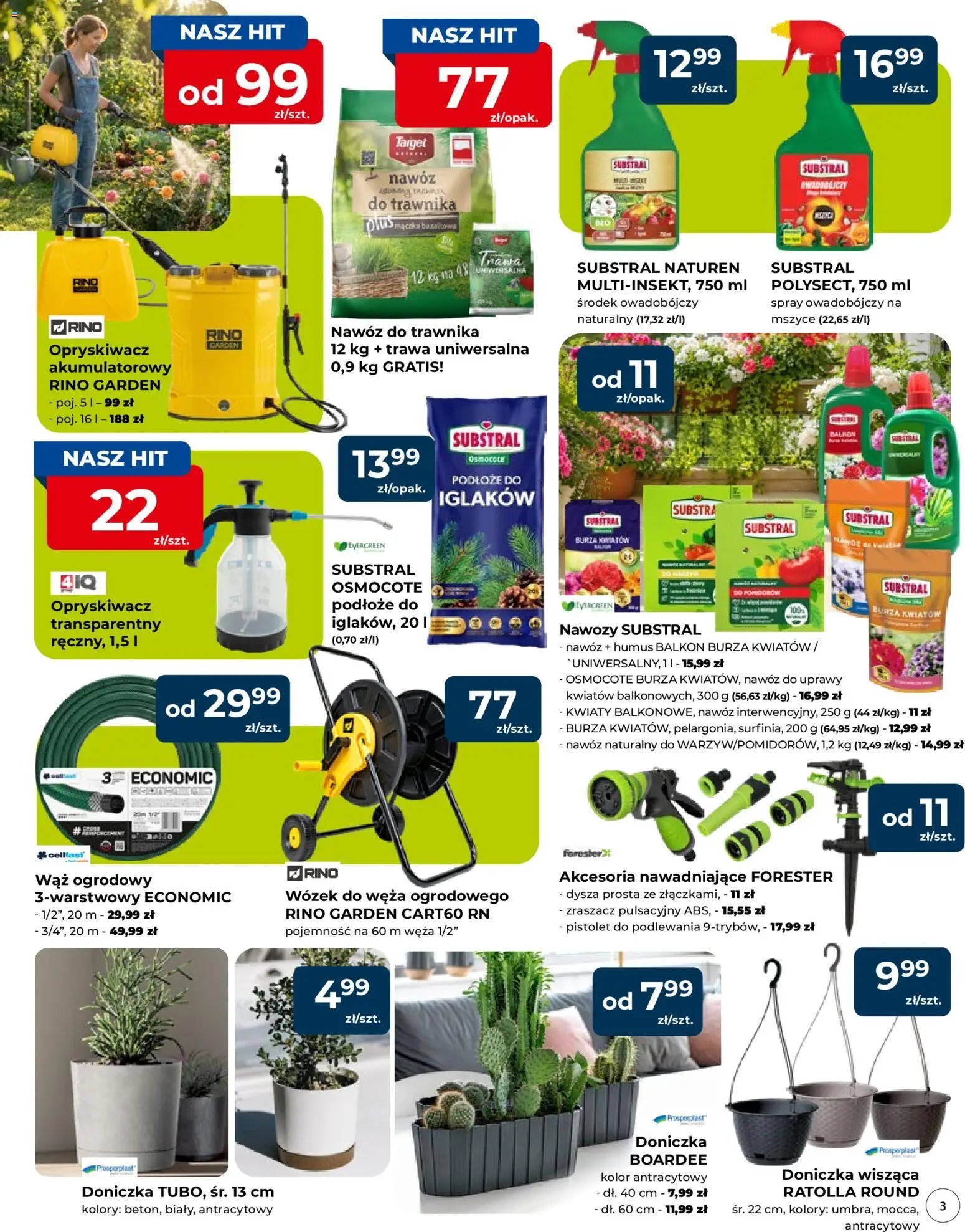 Mrówka gazetka - Elbląg