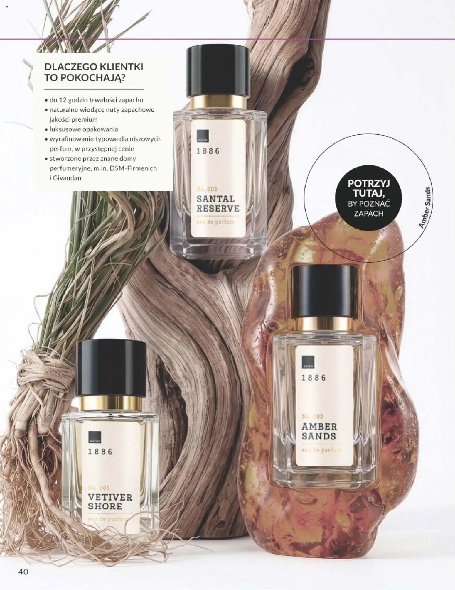 Avon Katalog Focus 11 2026